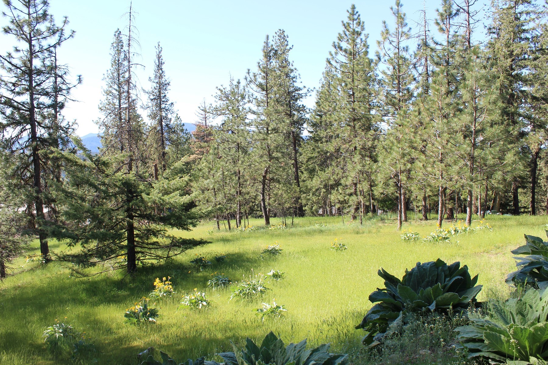  881 S Allen Rd and 2714 E Haven Dr Coeur d