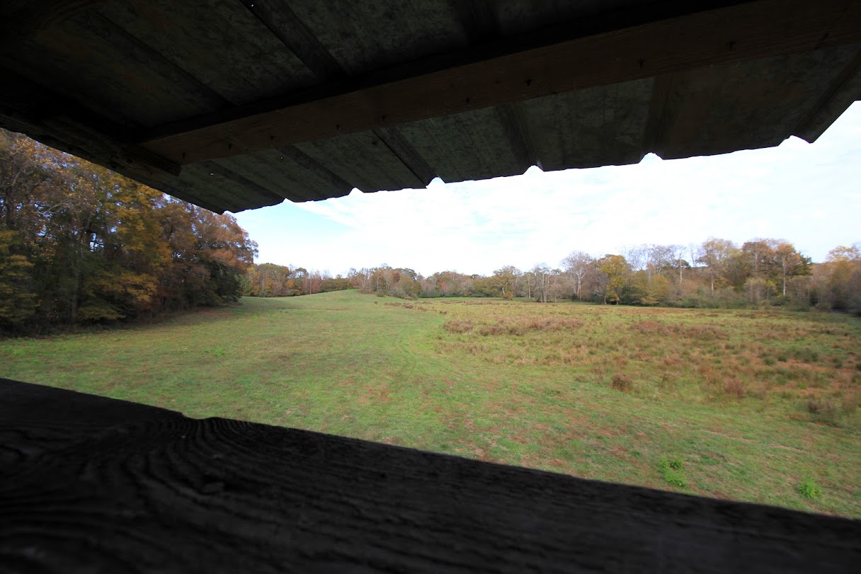 Bowdon, Georgia, 30108, United States, ,Land,For Sale,1989904