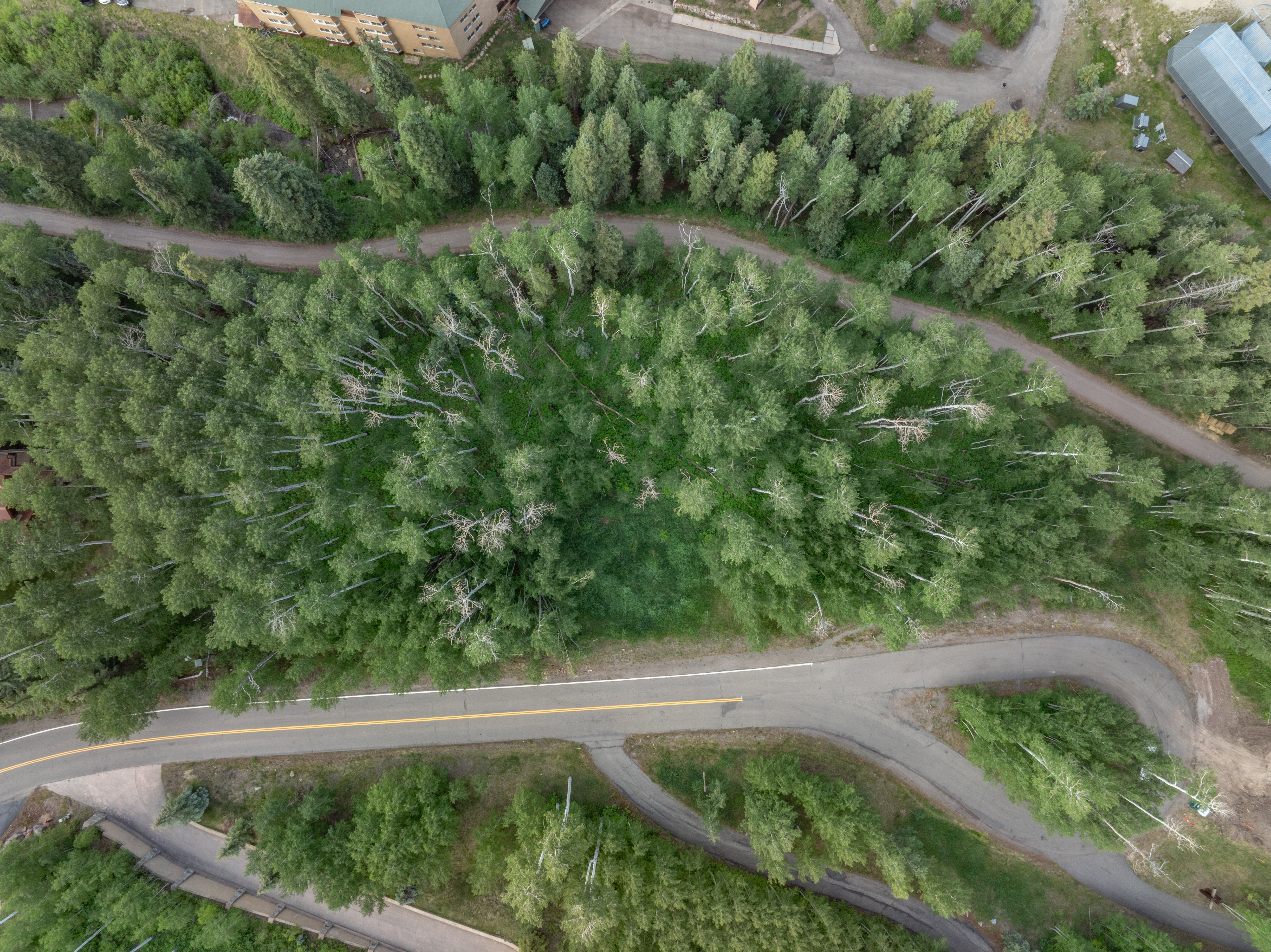  Lot 534 Russell Drive, Mountain Village, CO, 81435 - 物件實景