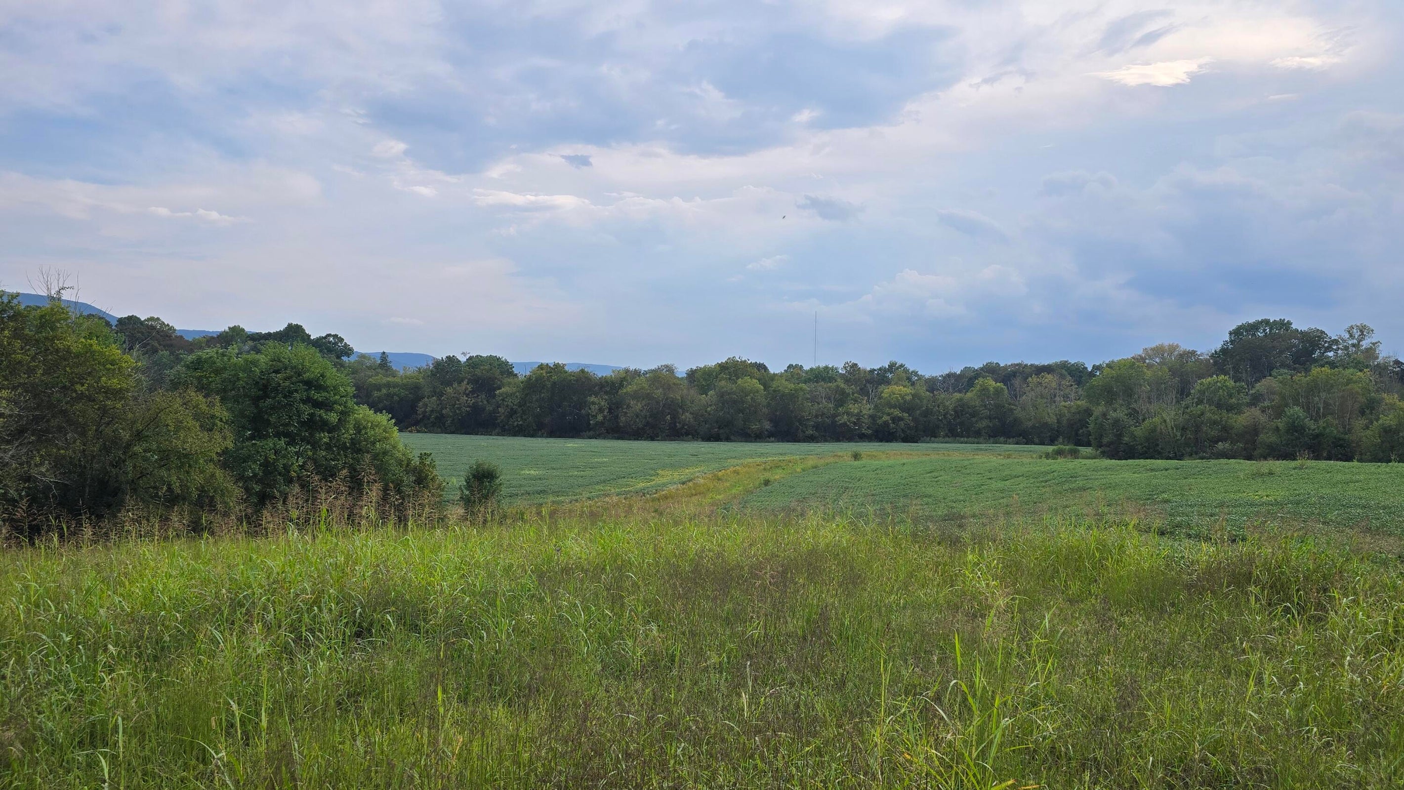 Pikeville, Tennessee, 37367, United States, ,Land,For Sale,1978902