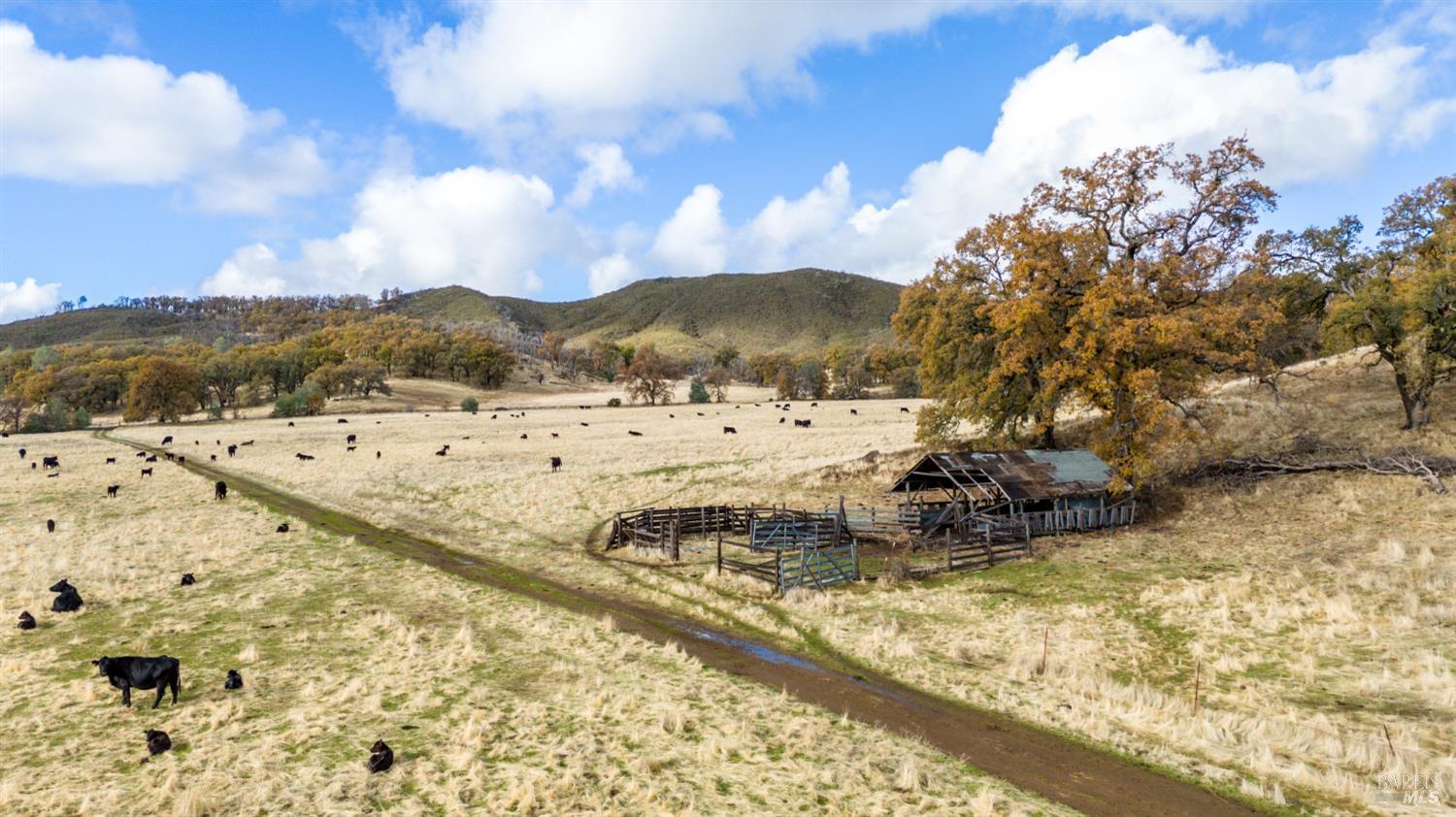 Lower Lake, California, 95457, United States, ,Land,For Sale,1976716