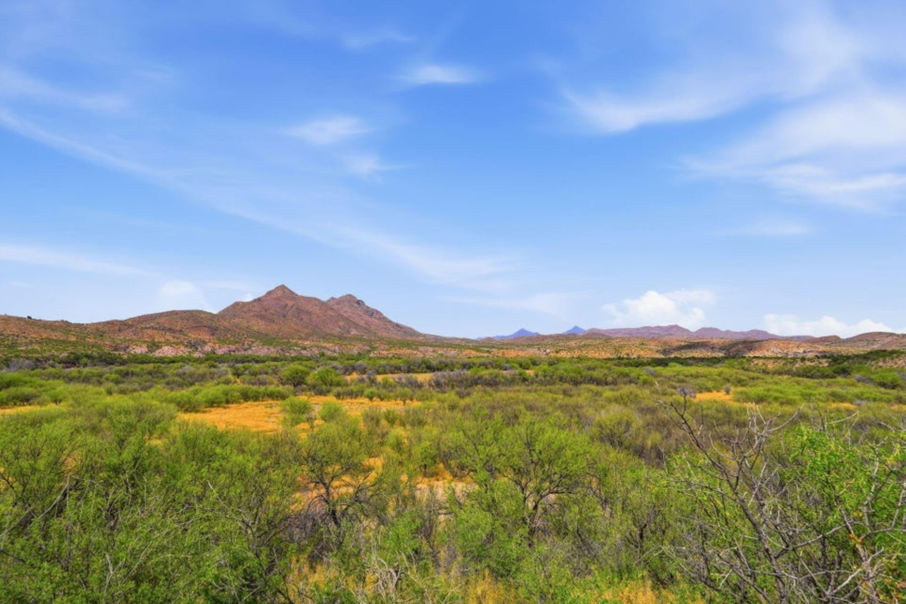  1213 Dos Corte¦Rosanky, TX - 物件實景