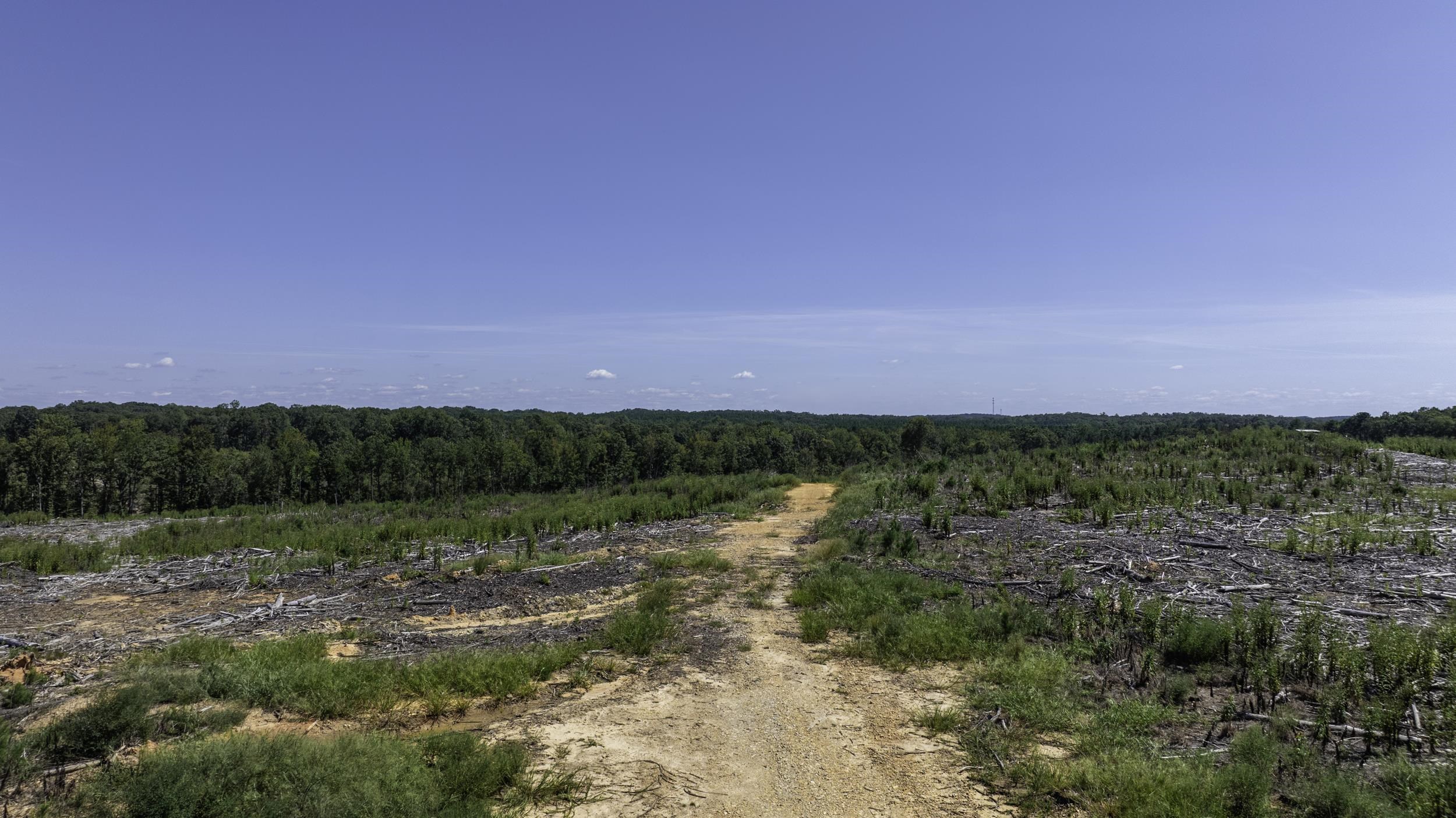 Gray Court, South Carolina, 29645, United States, ,Land,For Sale,1979531