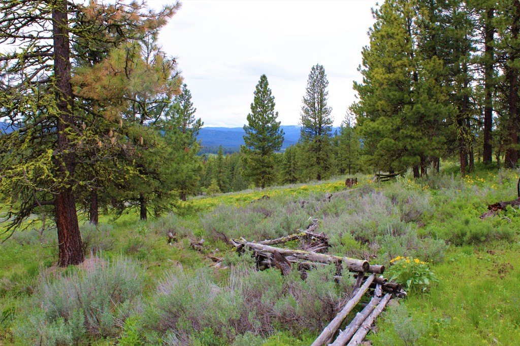 New Meadows, Idaho, 83654, United States, 1 Bedroom Bedrooms, ,1 BathroomBathrooms,Residential,For Sale,1979050