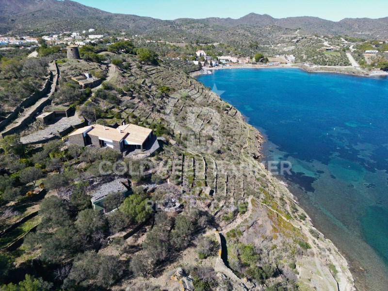 Cadaqués, Catalonia, ES, 12 Bedrooms Bedrooms, ,6 BathroomsBathrooms,Residential,For Sale,1751854