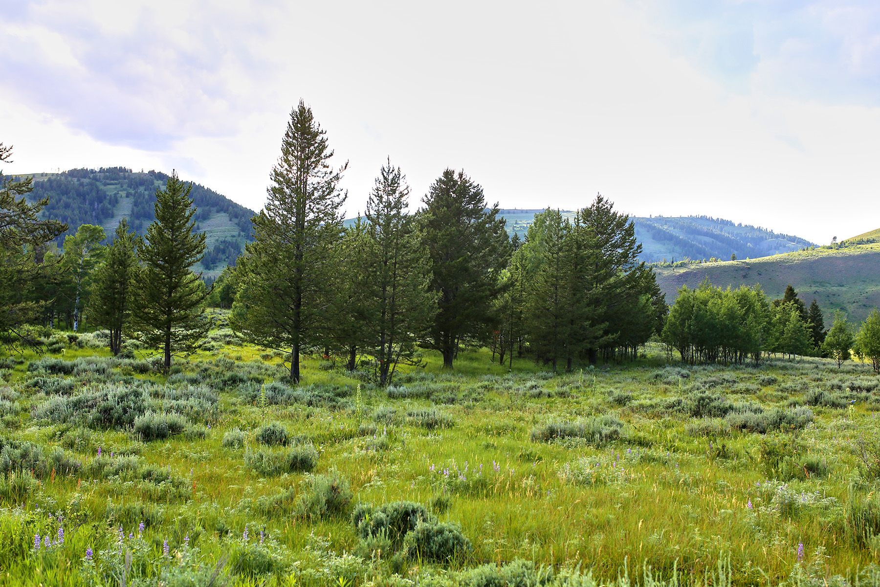  Snake River Sporting Club Lot - 物件實景