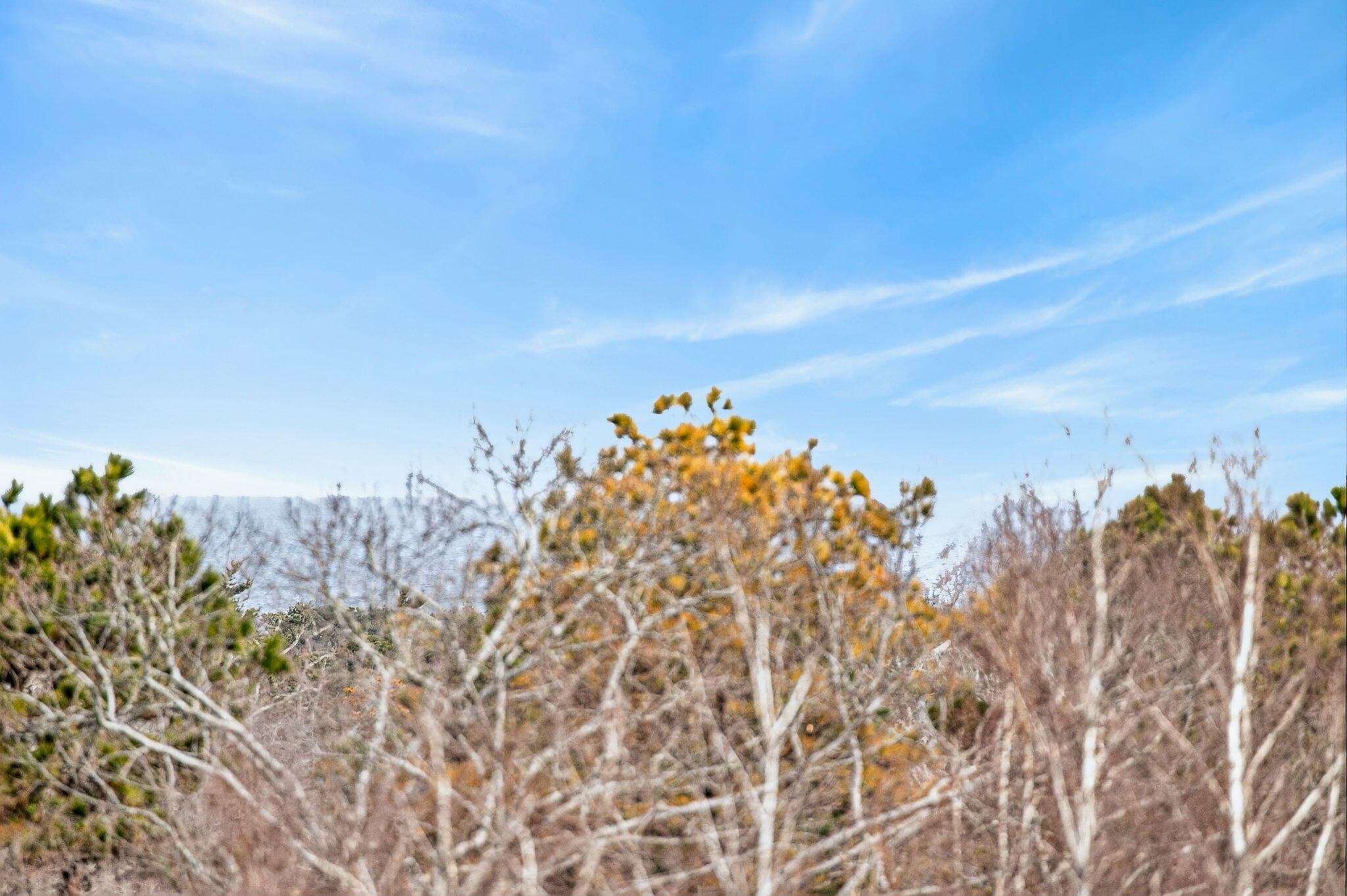  4 Earl Road - 物件實景