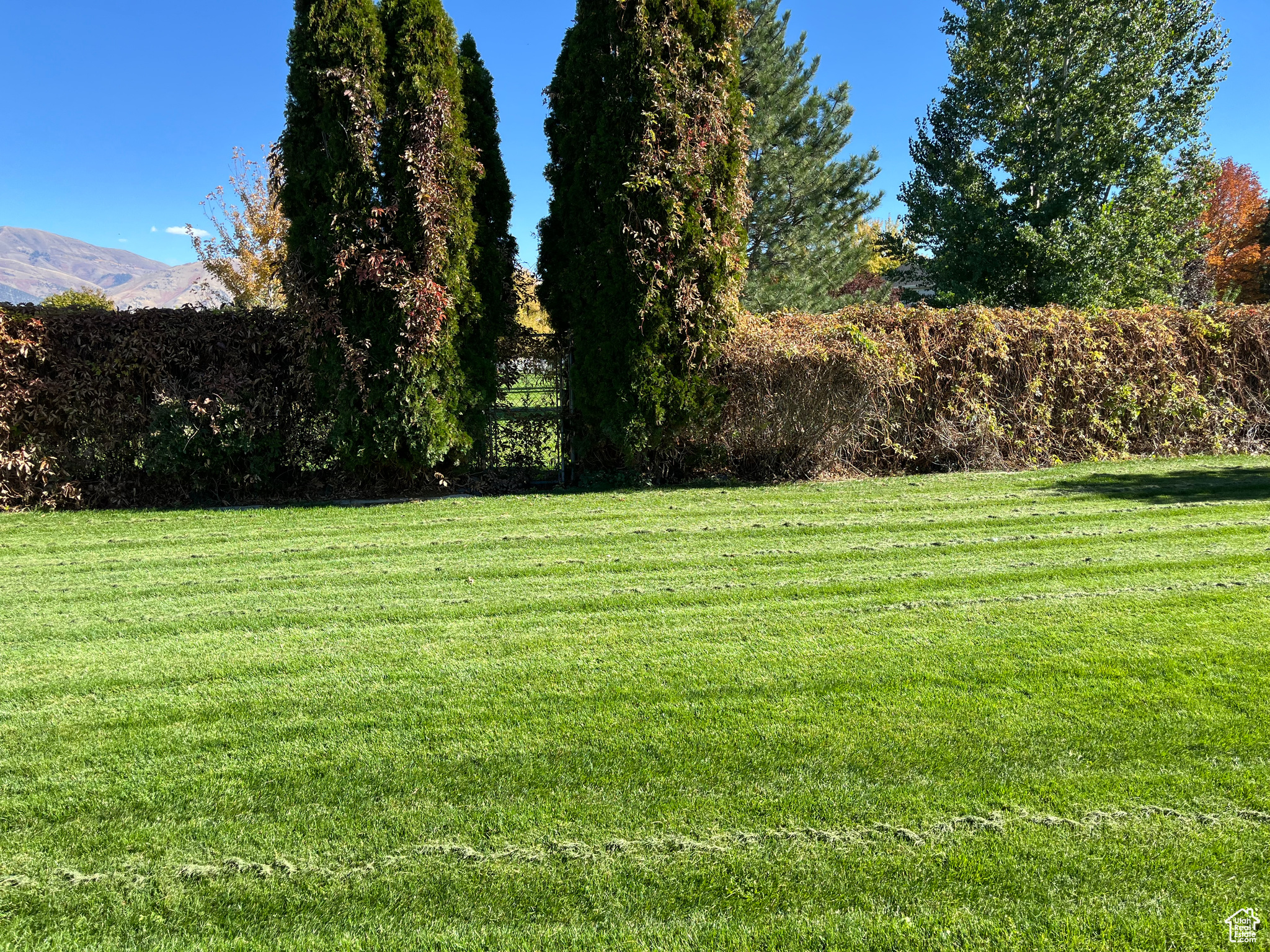 Hyrum, Utah, 84319, United States, 5 Bedrooms Bedrooms, ,3 BathroomsBathrooms,Residential,For Sale,1729547