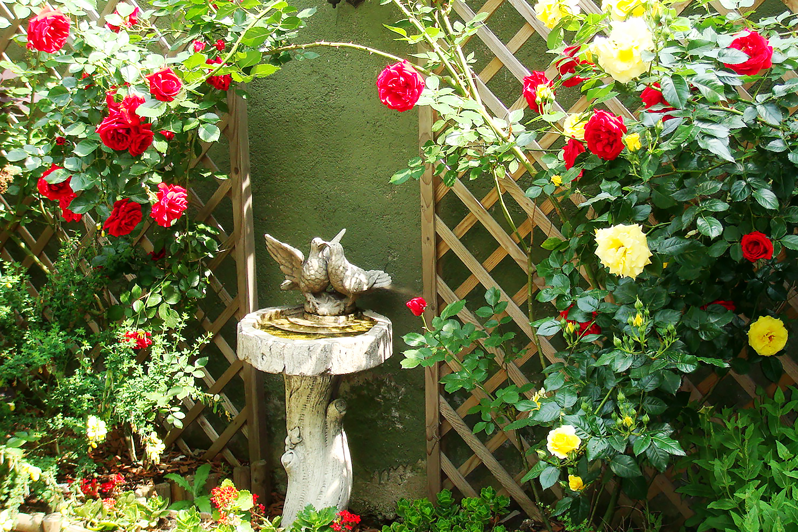  Historic Mansion with Secret Garden in the Heart of Bucharest - 物件實景