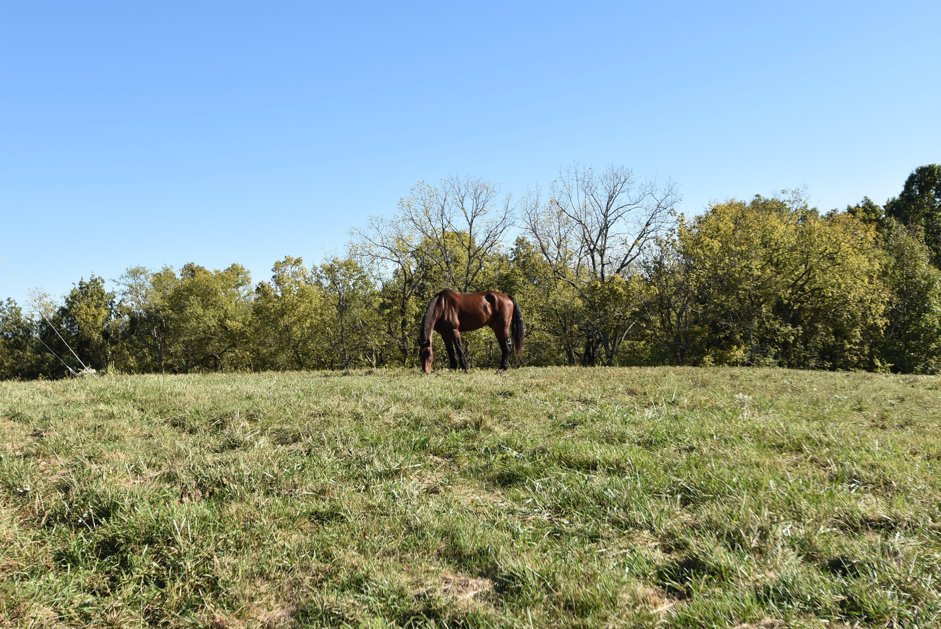 Willisburg, Kentucky, 40078, United States, 4 Bedrooms Bedrooms, ,1 BathroomBathrooms,Residential,For Sale,1962831