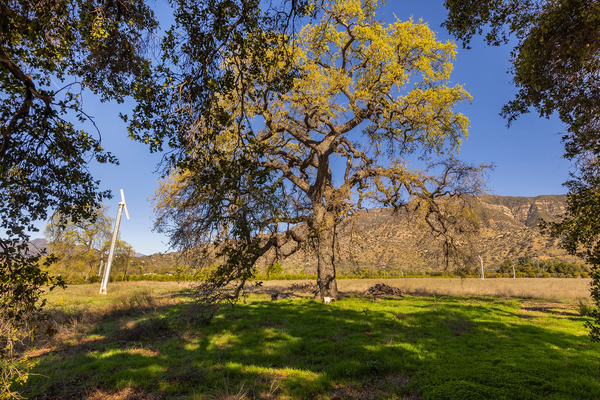  1201 Grand Avenue, Ojai, CA 93023 - 物件實景