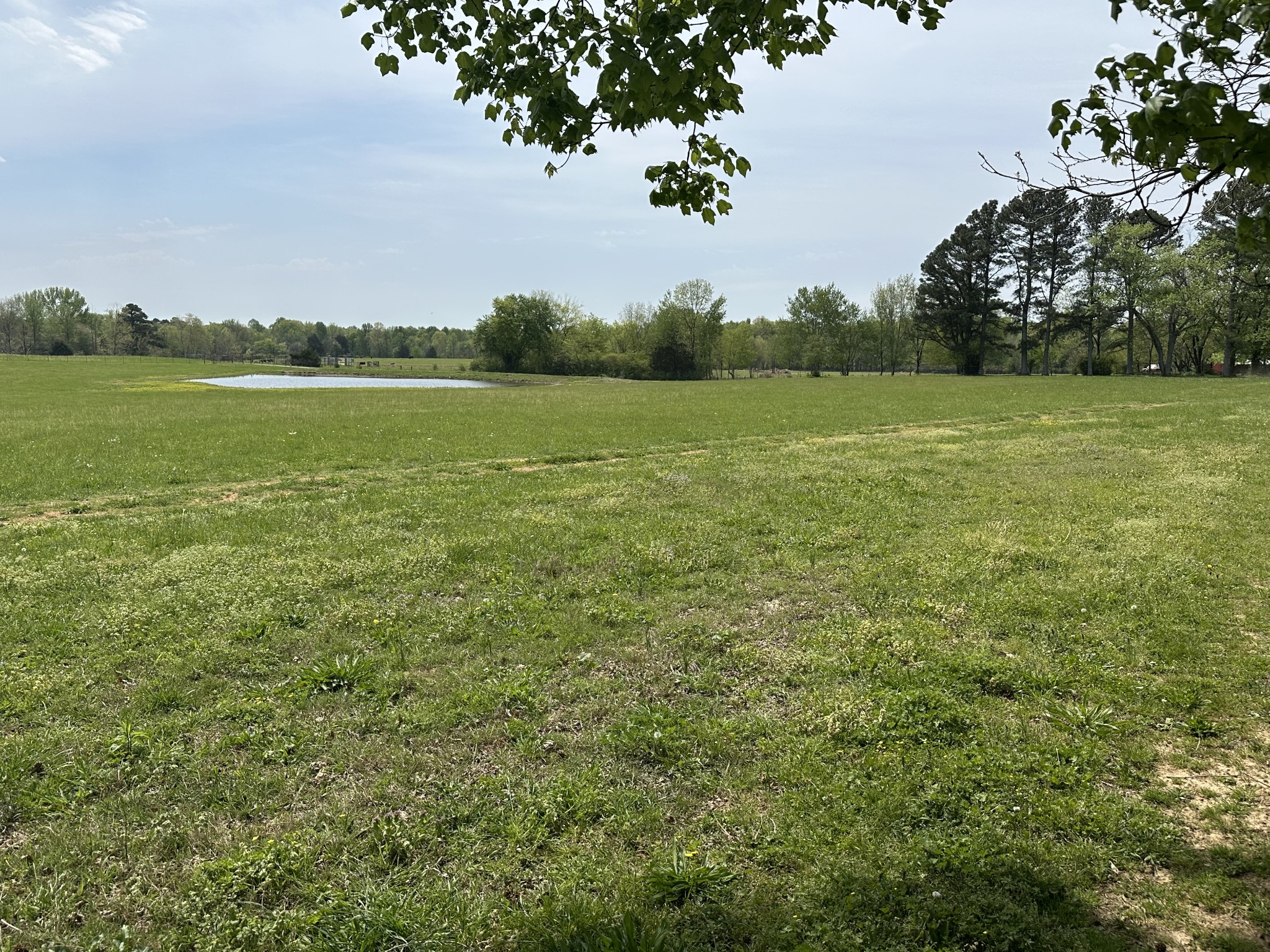 Lawrenceburg, Tennessee, 38464, United States, 3 Bedrooms Bedrooms, ,1 BathroomBathrooms,Residential,For Sale,1767762