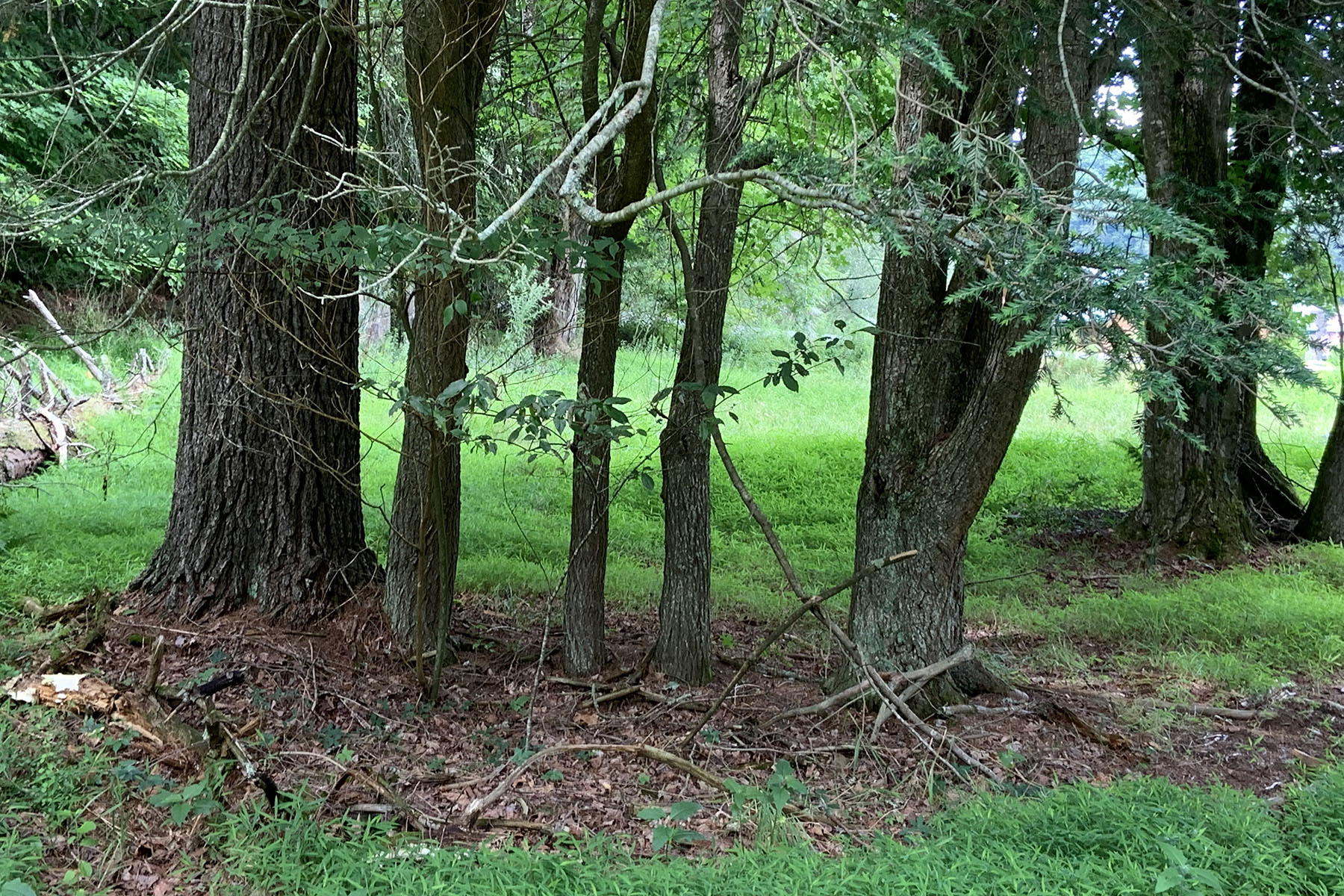  WATERSTONE - BOONE - 物件實景