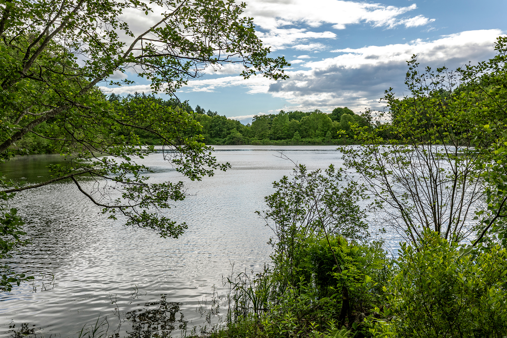  89 Reservoir Road - 物件實景