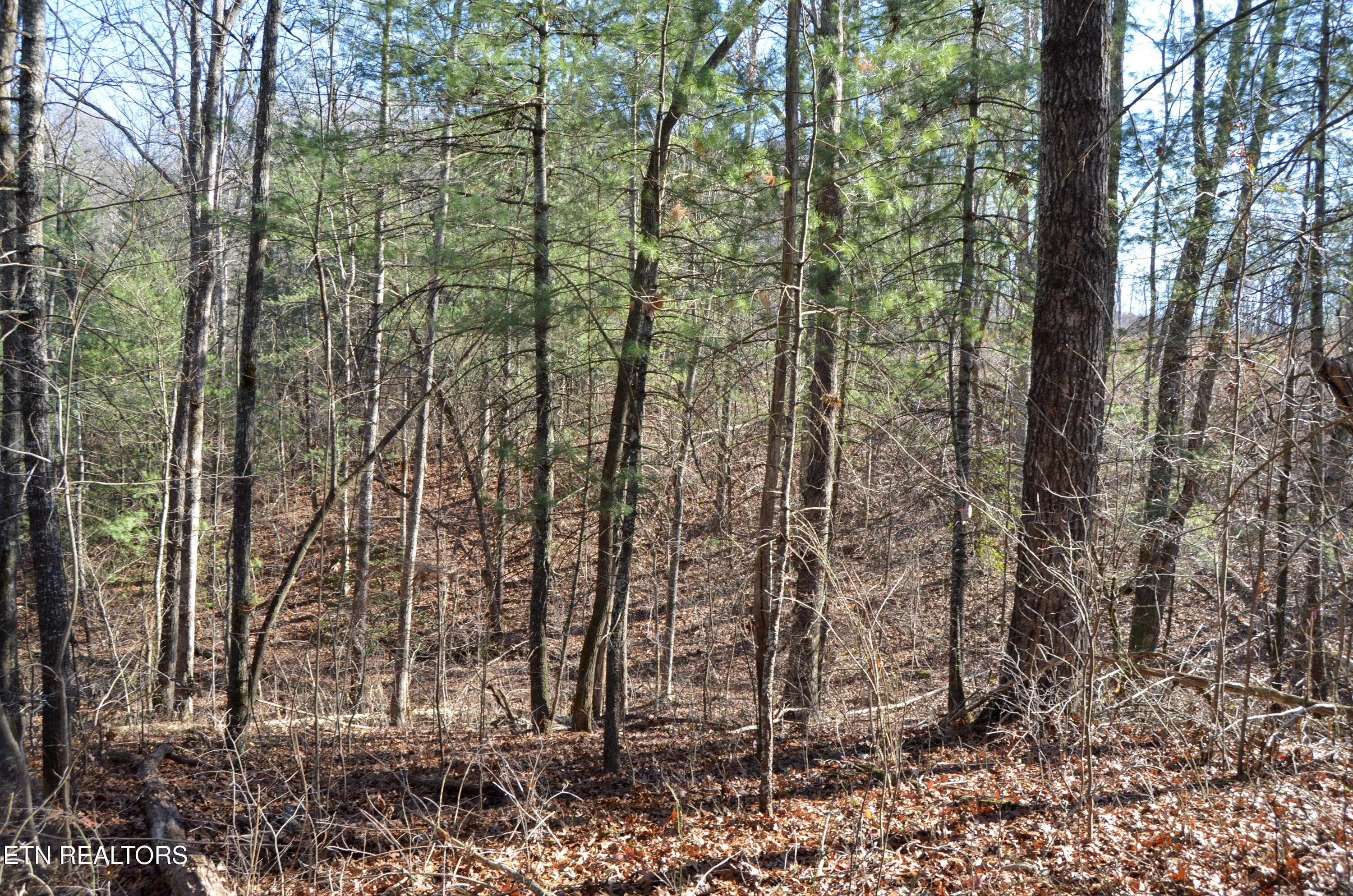 Crossville, Tennessee, 38555, United States, ,Land,For Sale,1978266