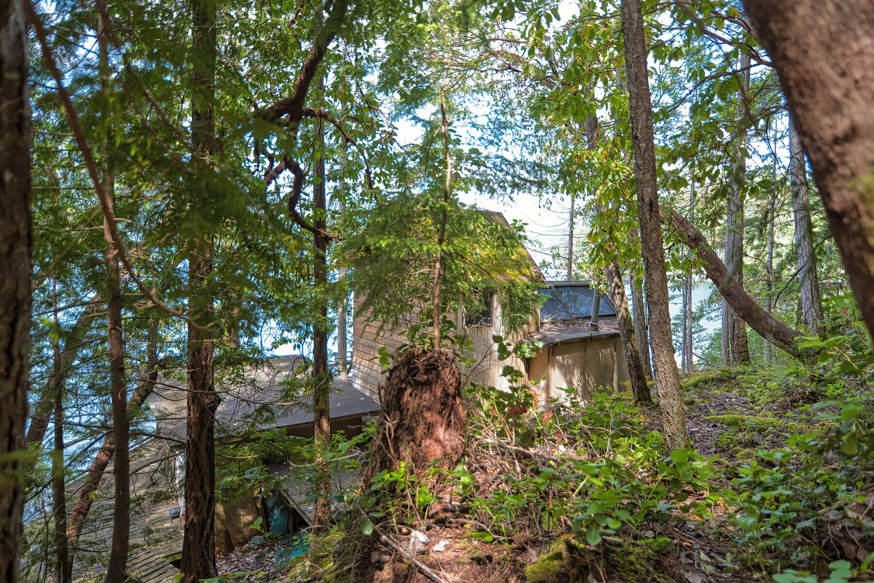  Sechelt, Sunshine Coast - 物件實景