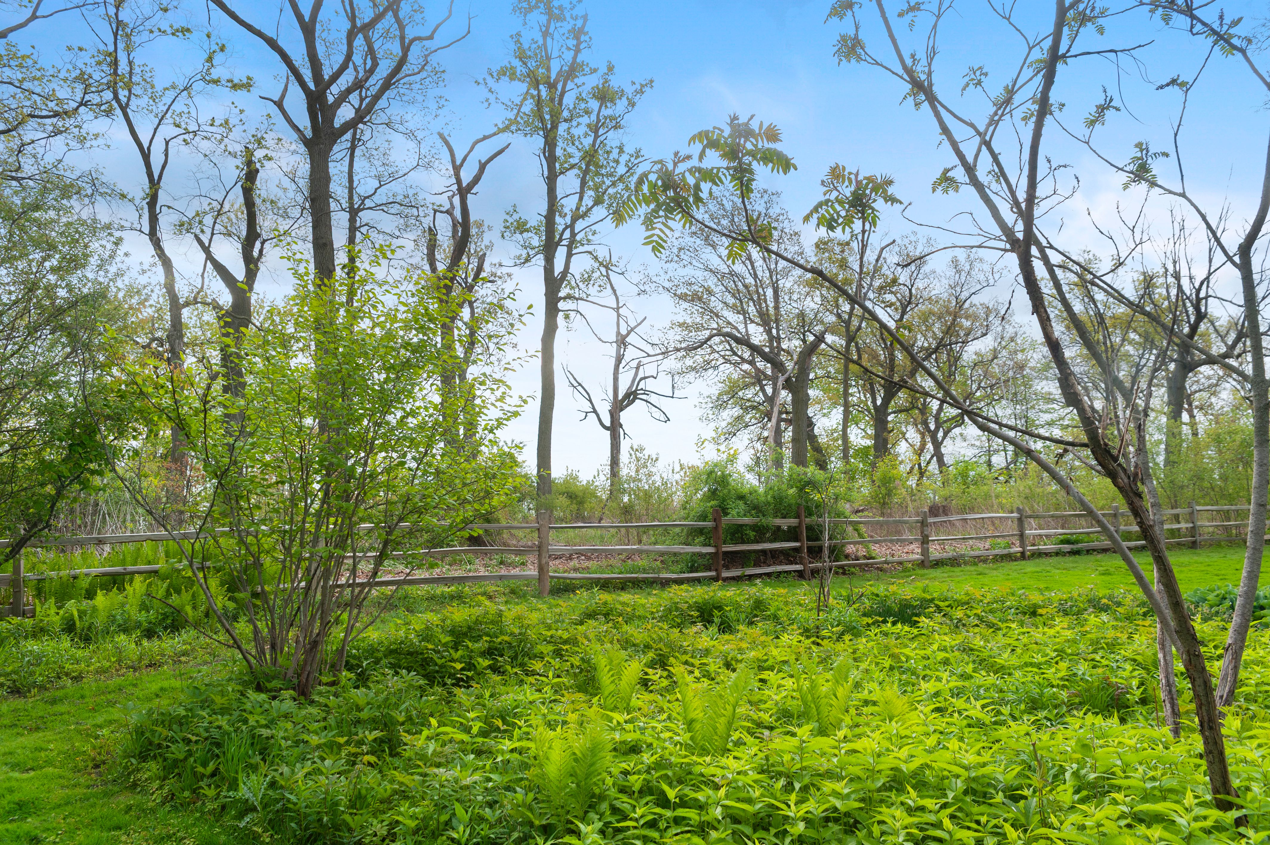  Historic Queen Anne Mansion Overlooking Lake Michigan - 物件實景