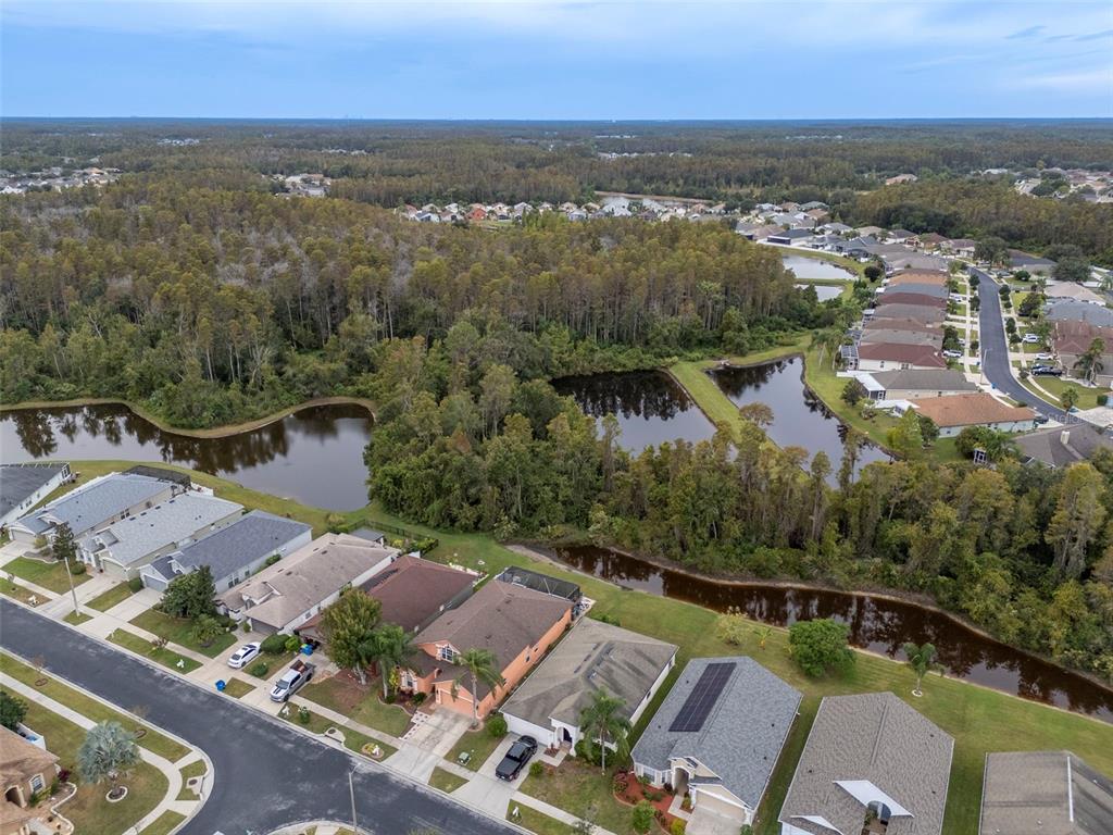 Wesley Chapel, Florida, 33543, United States, 4 Bedrooms Bedrooms, ,2 BathroomsBathrooms,Residential,For Sale,1991186