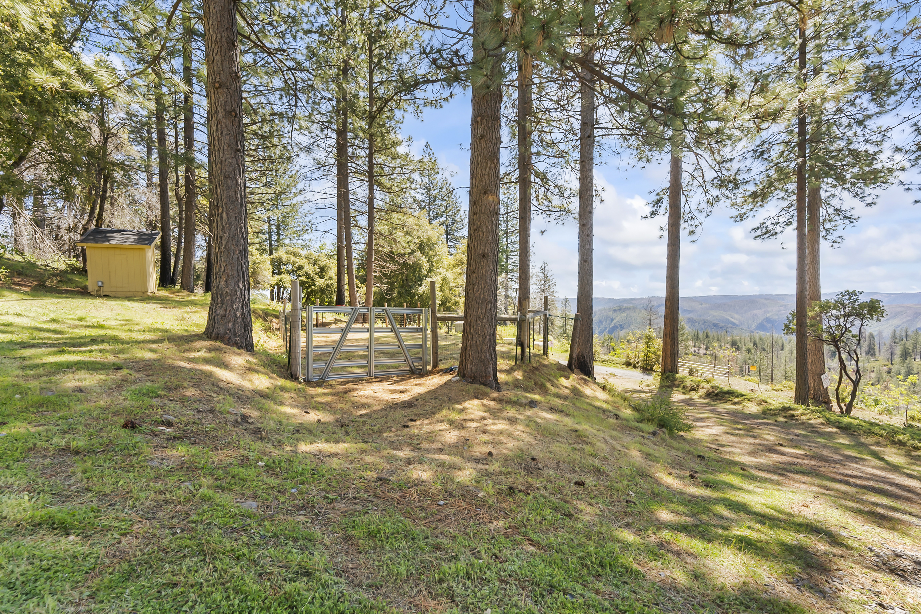  30155 Turkey Hill Road, Foresthill, CA 95631 - 物件實景