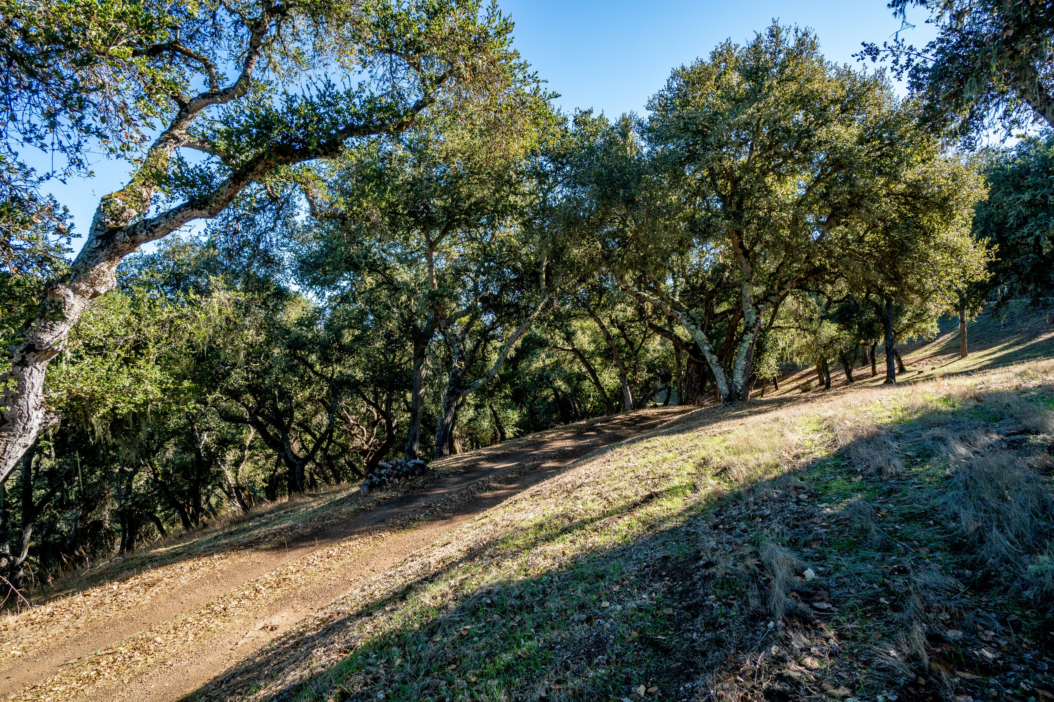 17114 Cachagua Road - 物件實景