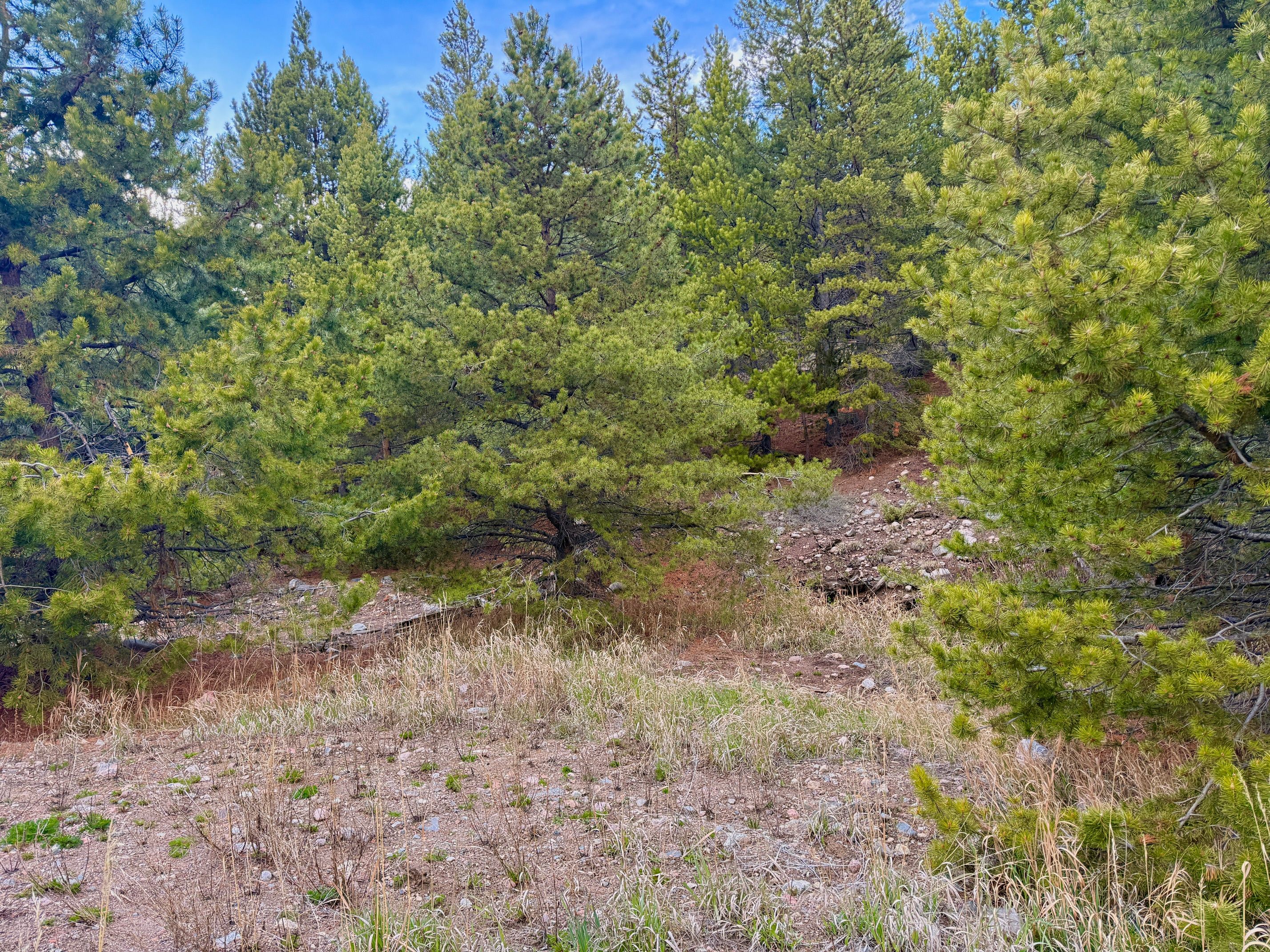  Giberson Preserve Lot 9 - 物件實景