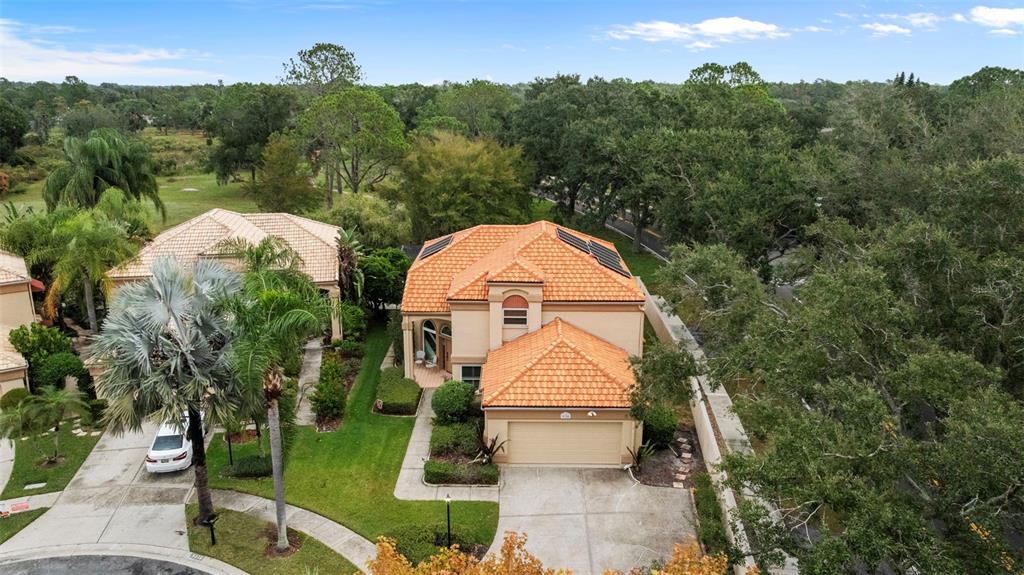 Tampa, Florida, 33647, United States, 4 Bedrooms Bedrooms, ,4 BathroomsBathrooms,Residential,For Sale,1983228