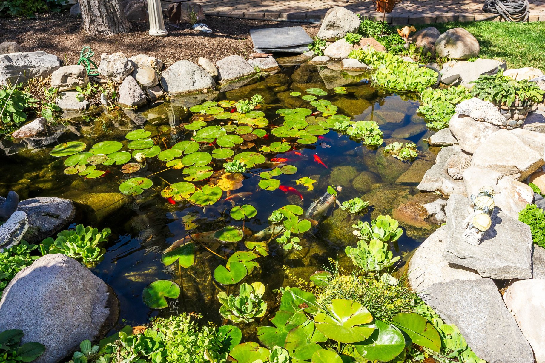  Custom South Jordan Rambler with Koi Pond, RV Parking & ADU Apartment - 物件實景