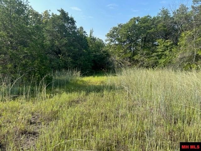 001-05276-003 INVERNESS DRIVE, Mountain Home, Arkansas, 72653, United States, ,Residential,For Sale,001-05276-003 INVERNESS DRIVE,1333567