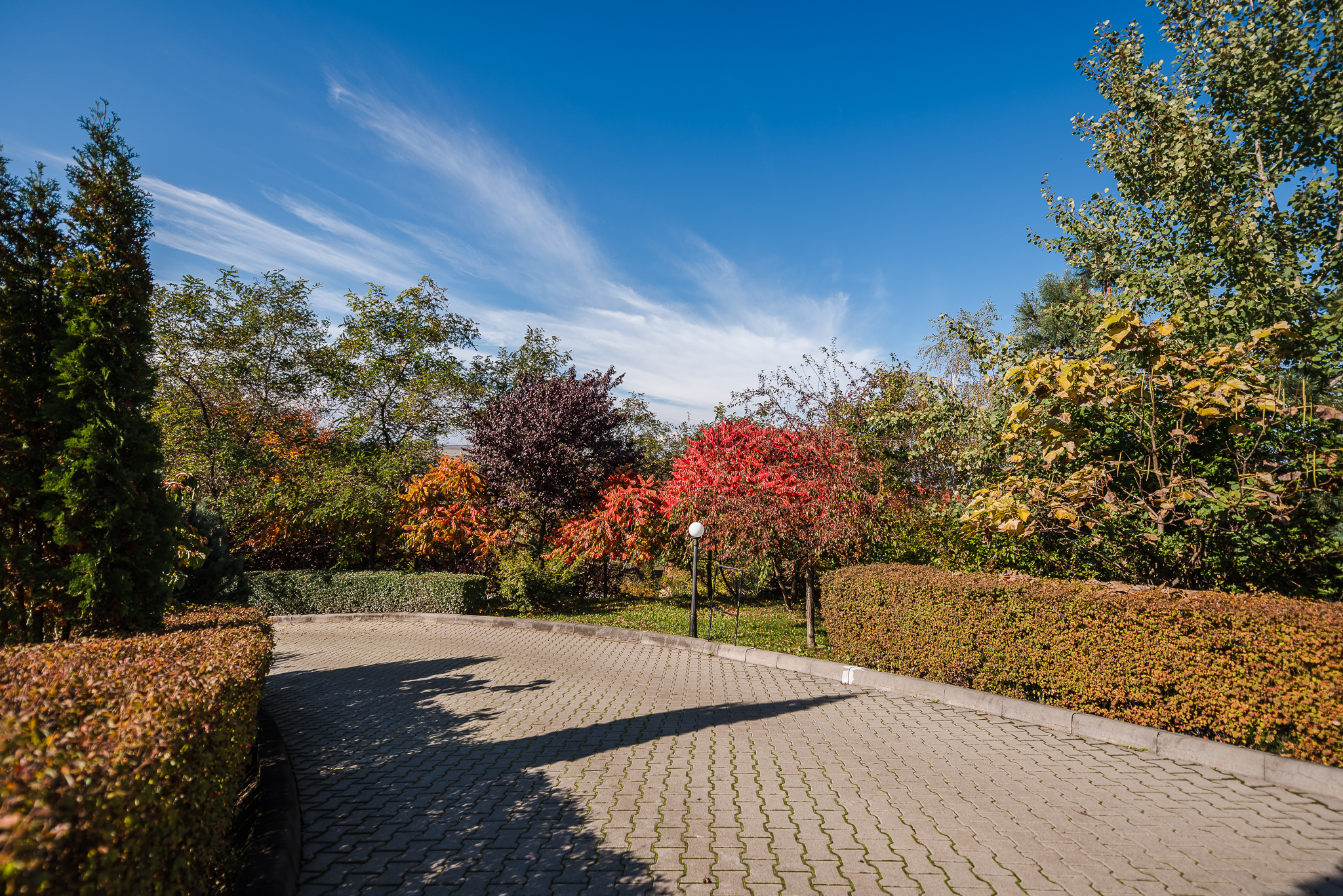  Wellness & Hospitality near Cluj-Napoca - 物件實景