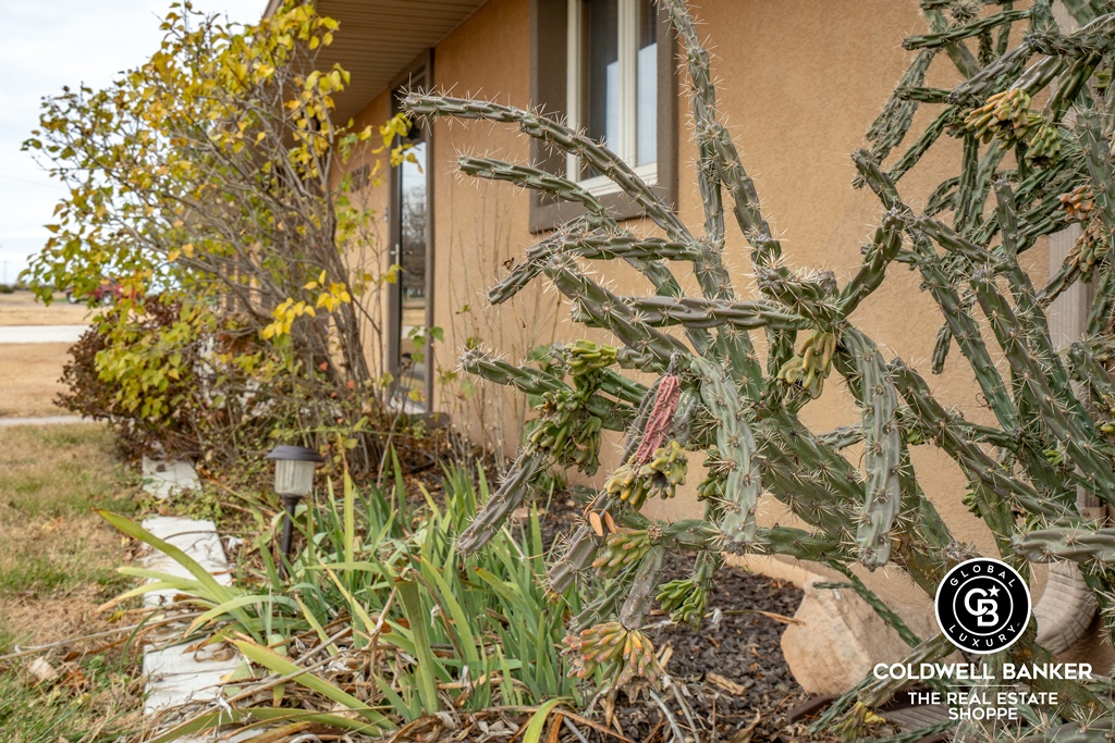 Garden City, Kansas, 67846, United States, 4 Bedrooms Bedrooms, ,Residential,For Sale,2003039