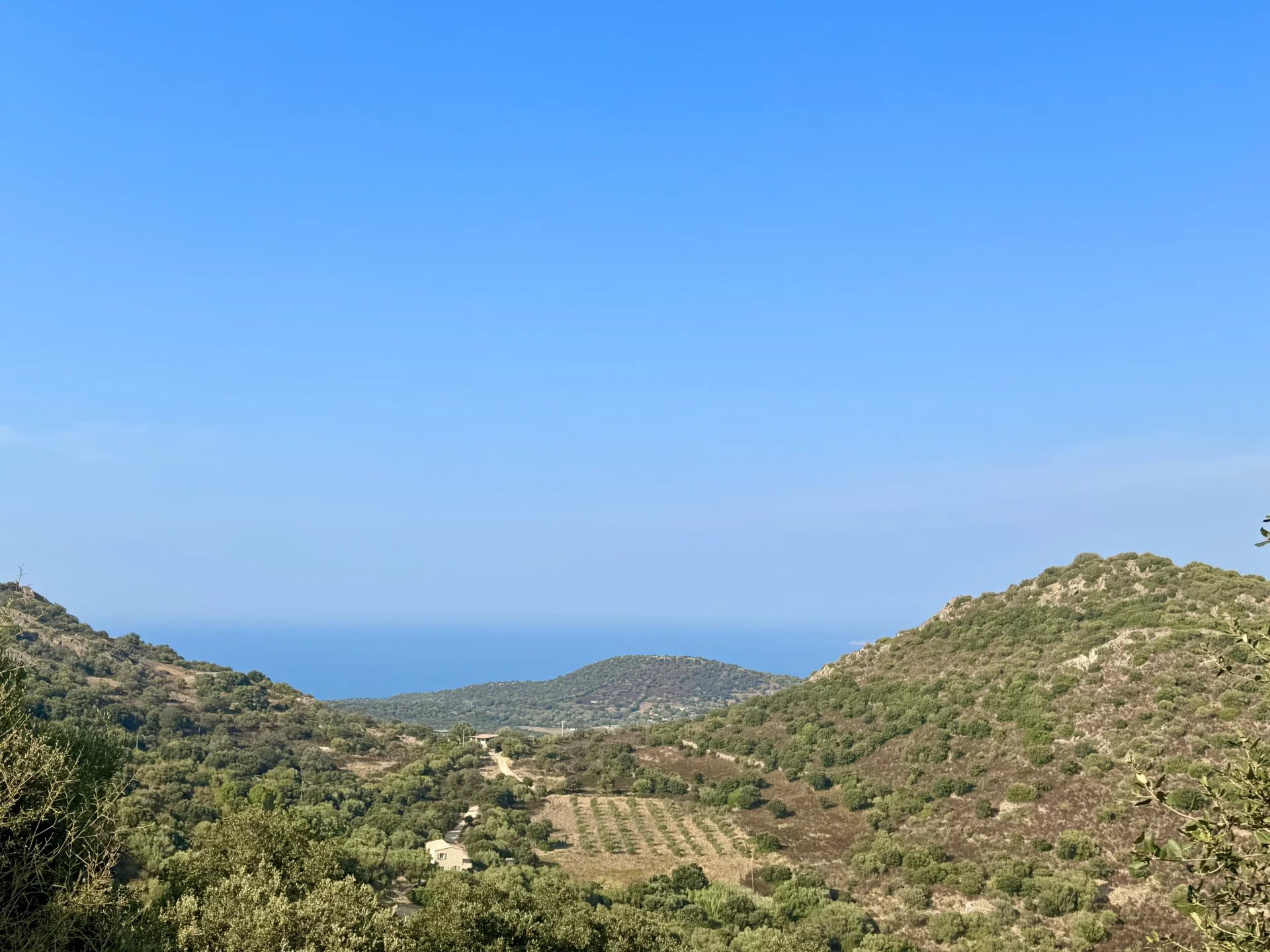 Monticello, Corsica, 20220, FR, ,Land,For Sale,1966226