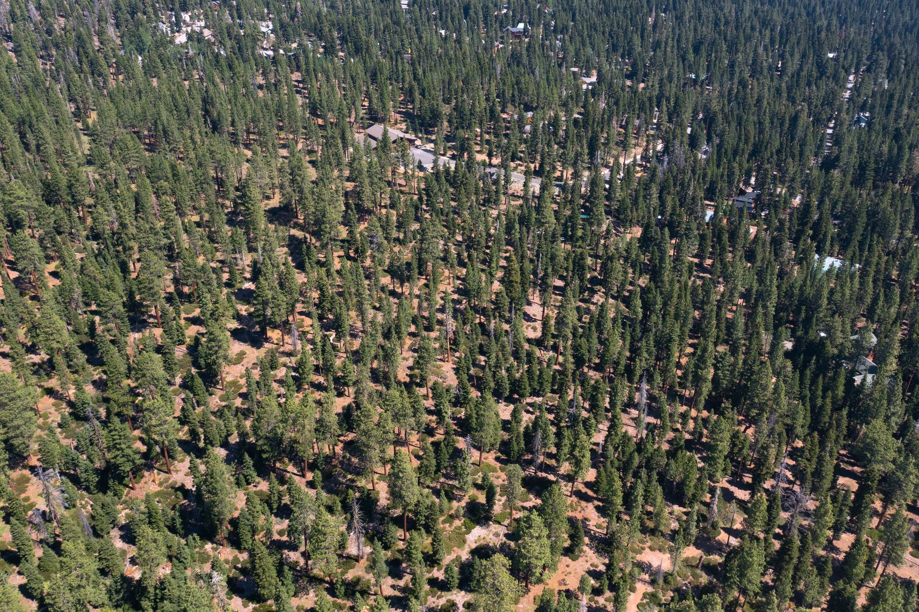  Rare, 10-acre parcel with house minutes from Tahoe City - 物件實景