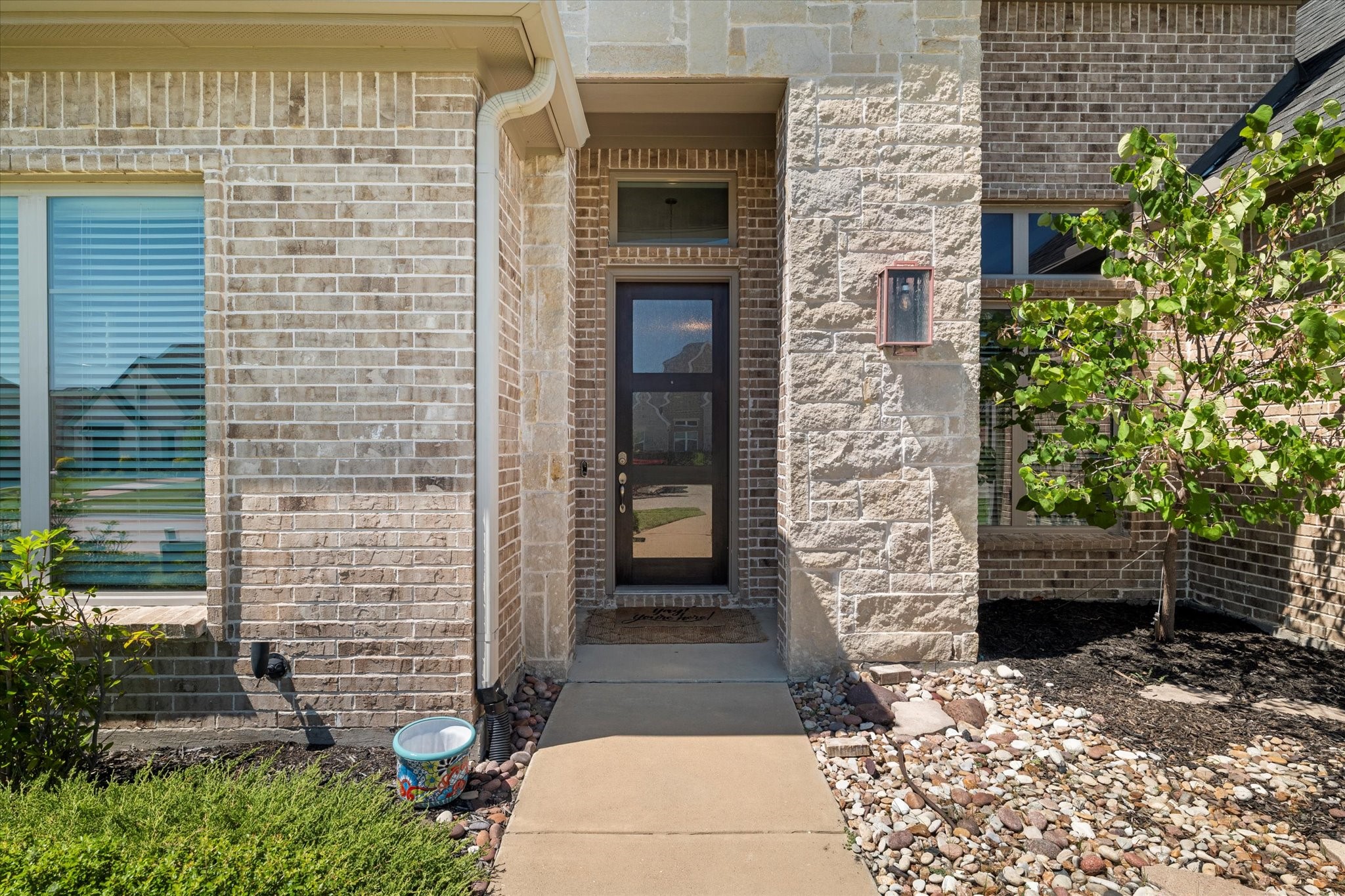Prosper, Texas, 75078, United States, 4 Bedrooms Bedrooms, ,3 BathroomsBathrooms,Residential,For Sale,1903910