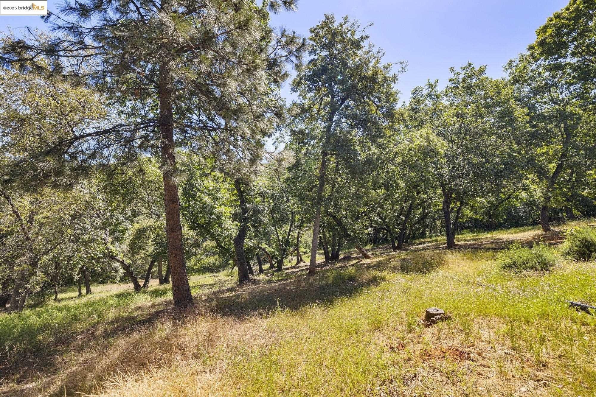 Sonora, California, 95370, United States, 3 Bedrooms Bedrooms, ,2 BathroomsBathrooms,Residential,For Sale,1916057