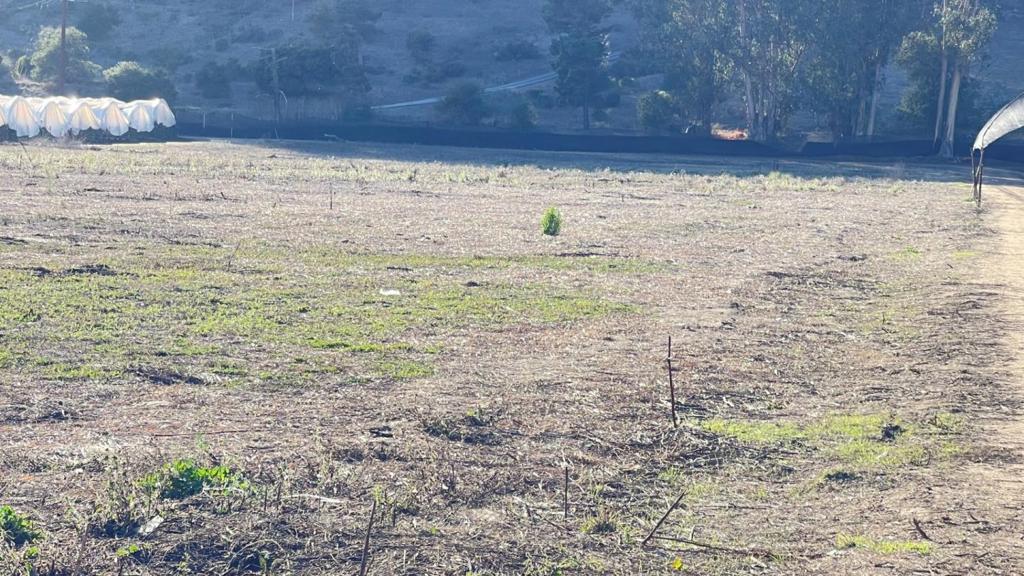 Watsonville, California, 95076, United States, 4 Bedrooms Bedrooms, ,3 BathroomsBathrooms,Residential,For Sale,1982776