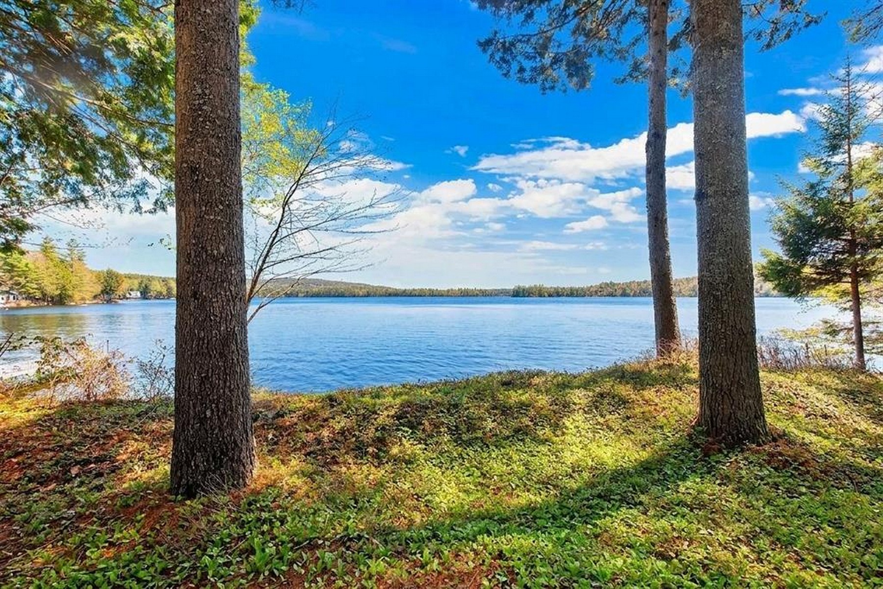  1807 Little Sunapee Road - 物件實景