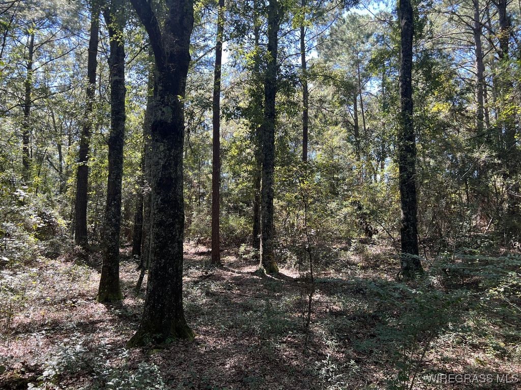 Enterprise, Alabama, 36330, United States, ,Land,For Sale,1979580