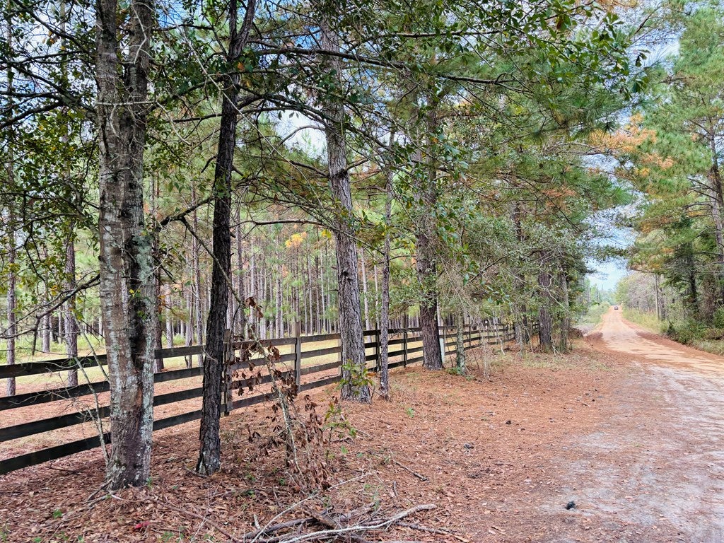 Abbeville, Georgia, 31001, United States, ,Land,For Sale,1975130