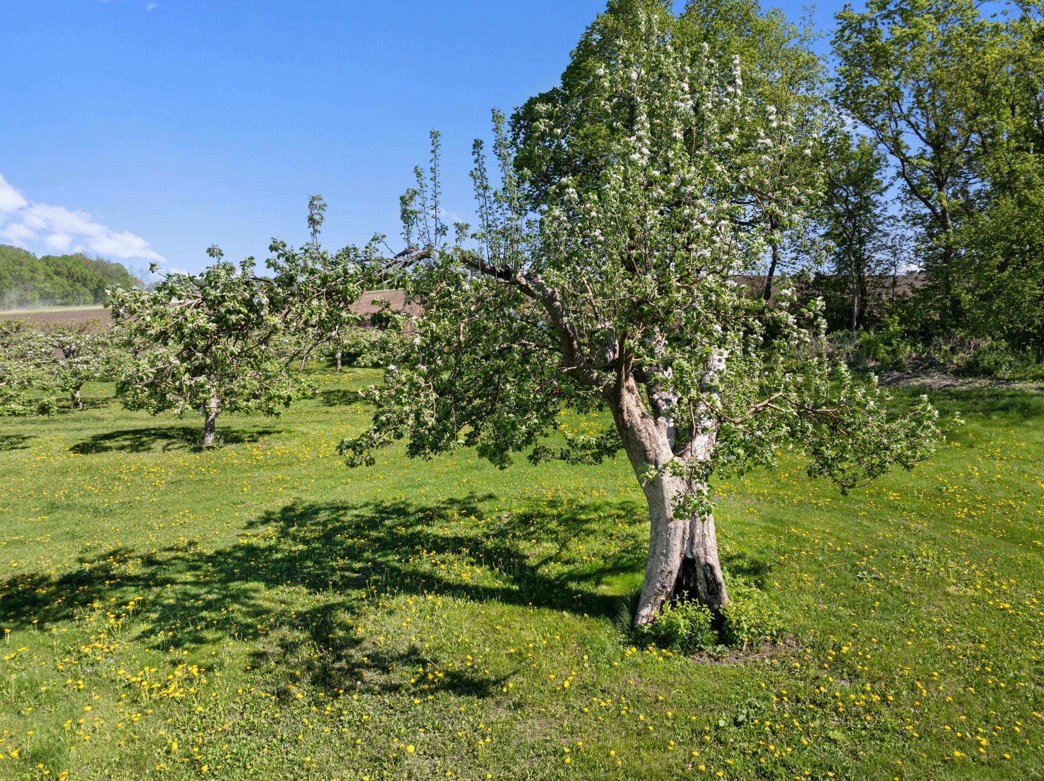 Bridgewater Twp, Minnesota, 55057, United States, ,Residential,For Sale,1851900