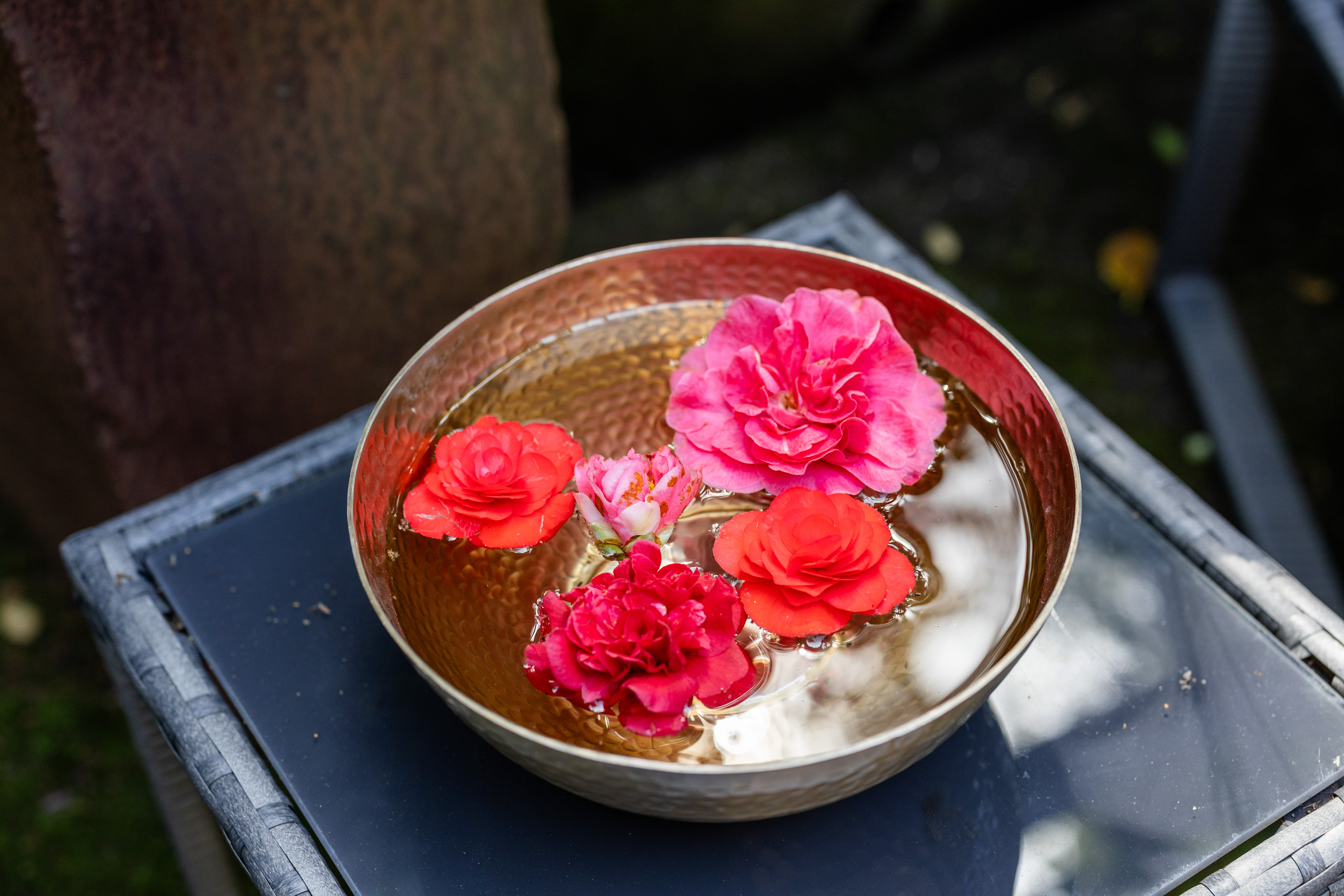  Mid-Century Design and Natural Tranquility in San Rafael’s West End - 物件實景