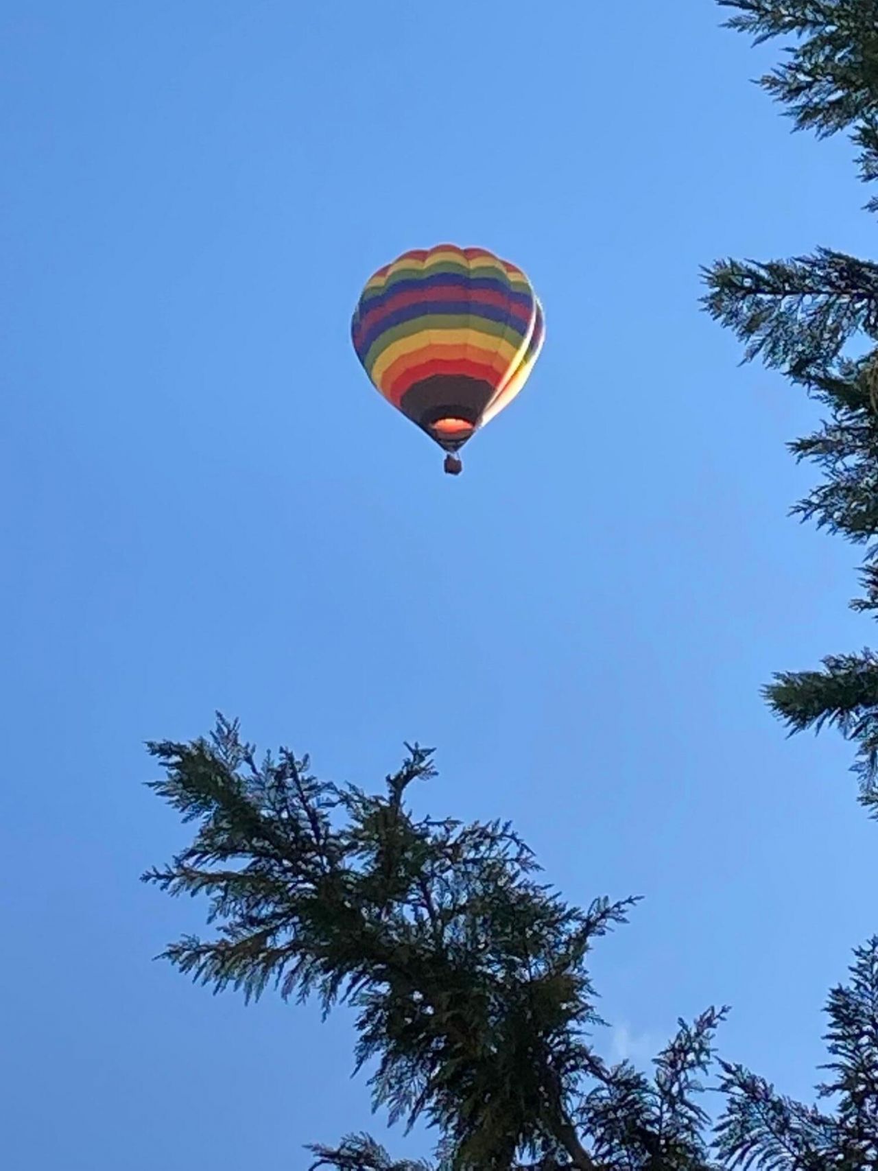 Albuquerque, New Mexico, 87114, United States, 3 Bedrooms Bedrooms, ,3 BathroomsBathrooms,Residential,For Sale,1996892