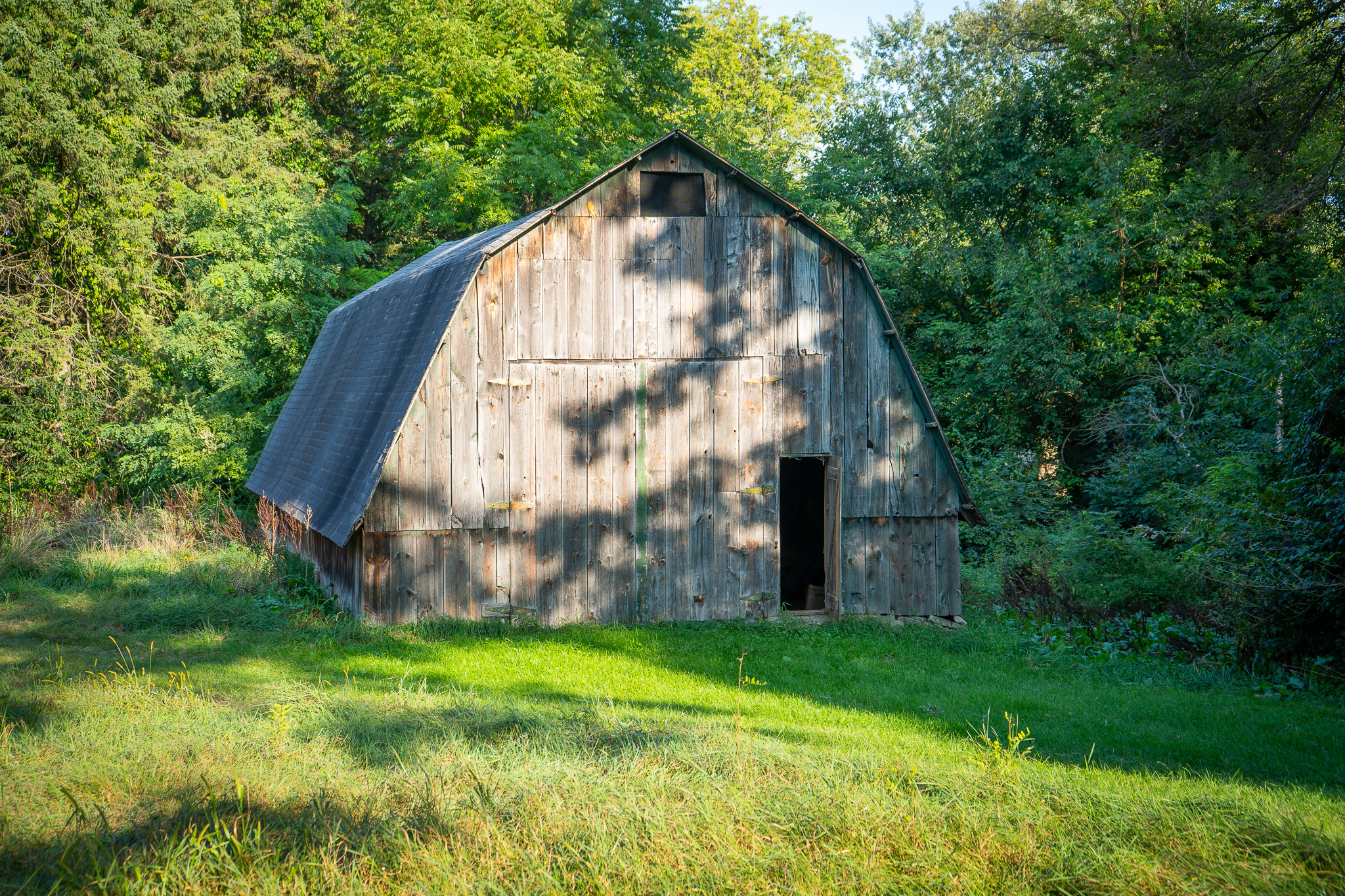 Jackson, Michigan, 49201, United States, 4 Bedrooms Bedrooms, ,2 BathroomsBathrooms,Residential,For Sale,1981022