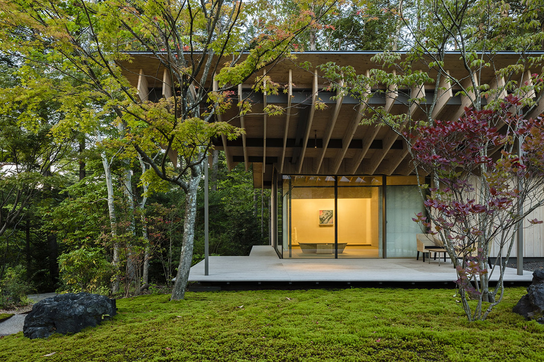  ROOF/BIRDS: Wild Bird Forest Lodge - 物件實景