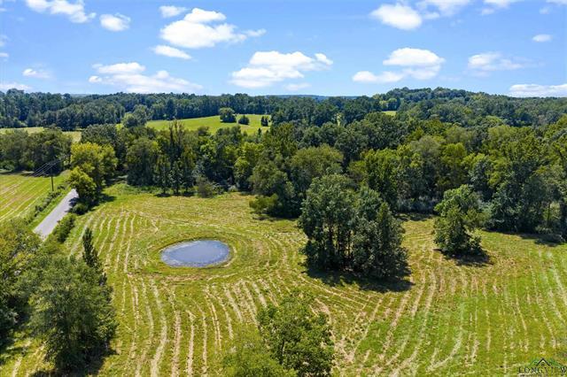 Henderson, Texas, 75652, United States, 3 Bedrooms Bedrooms, ,2 BathroomsBathrooms,Residential,For Sale,1958802