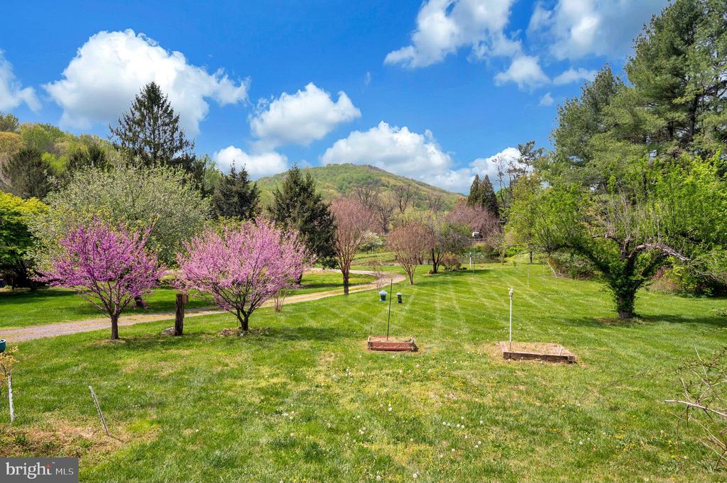 Linden, Virginia, 22642, United States, 5 Bedrooms Bedrooms, ,4 BathroomsBathrooms,Residential,For Sale,2037897