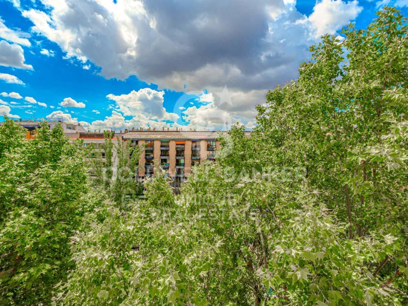Madrid, Madrid, Chamart?n, El Viso Madrid, Madrid, Madrid, Comunidad de Madrid, ES, 4 Bedrooms Bedrooms, ,3 BathroomsBathrooms,Residential,For Sale,Madrid, Madrid, Chamart?n, El Viso Madrid, Madrid,1541343