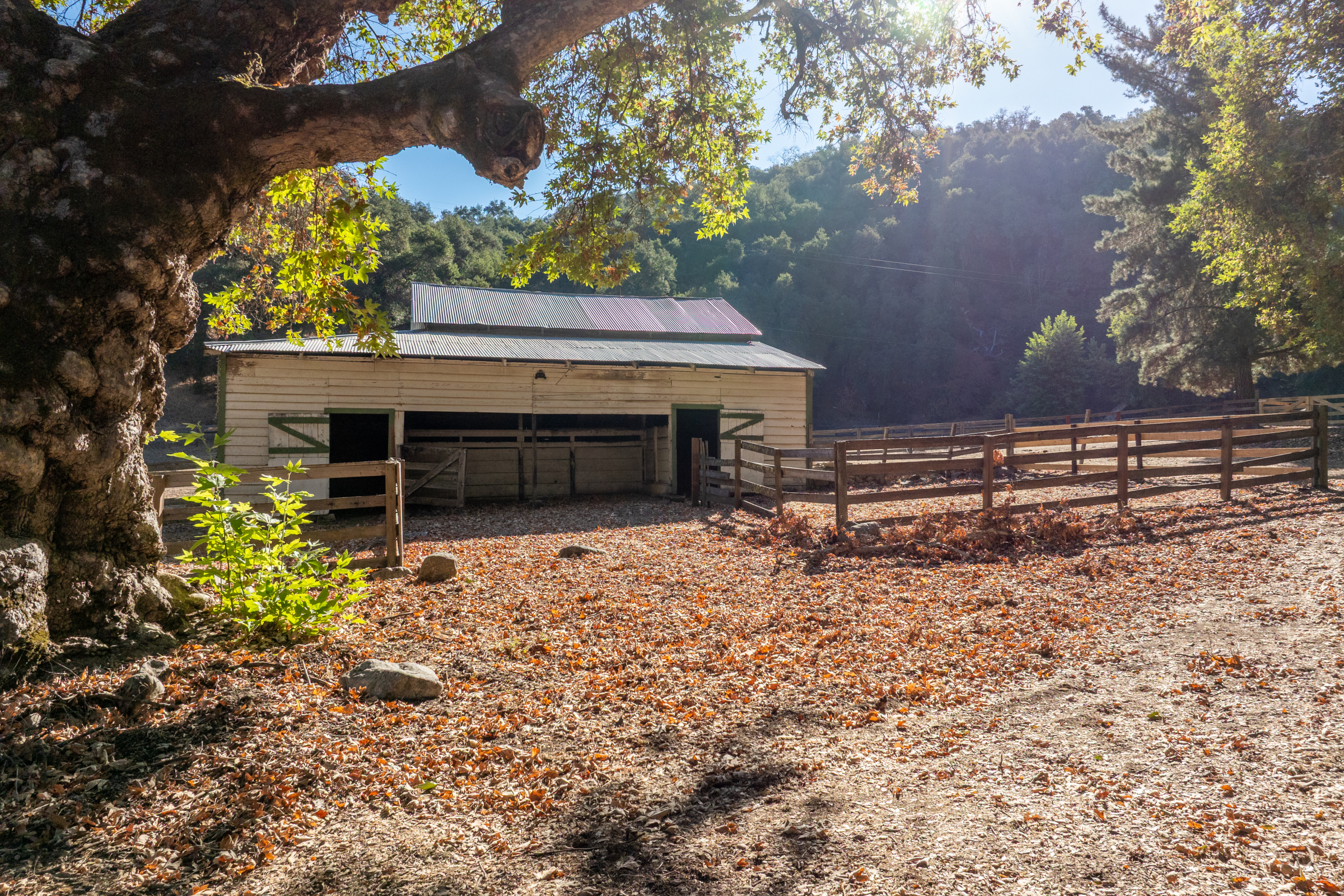  38652 Tassajara Road - 物件實景