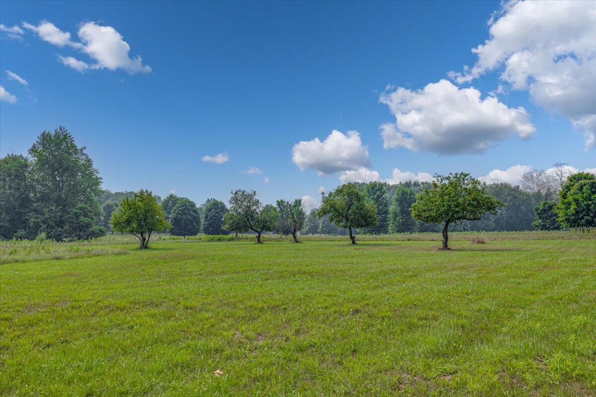 Three Oaks, Michigan, 49128, United States, ,Land,For Sale,1908365