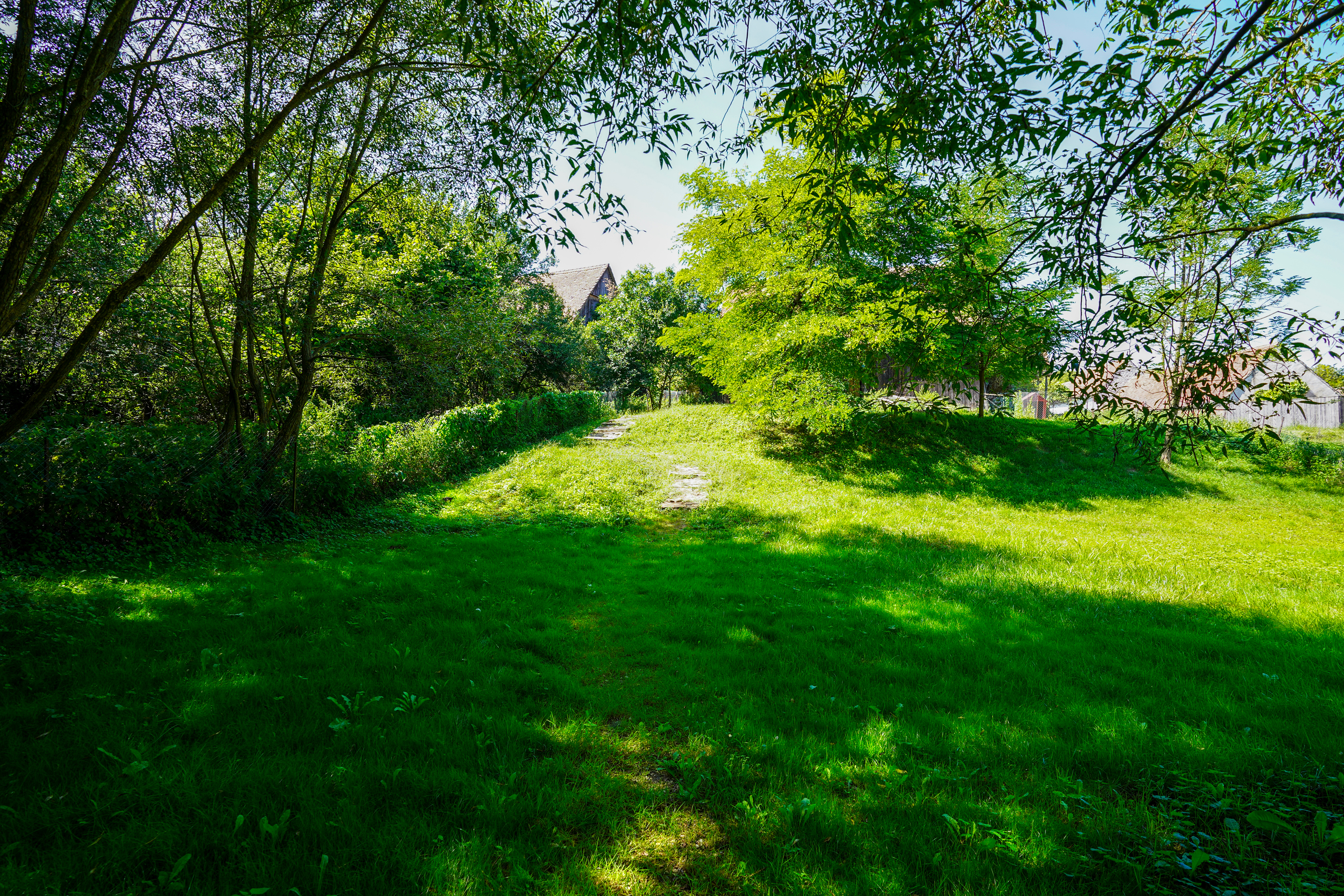  Restored Authentic Saxon House in Viscri, Between Heritage and Nature - 物件實景