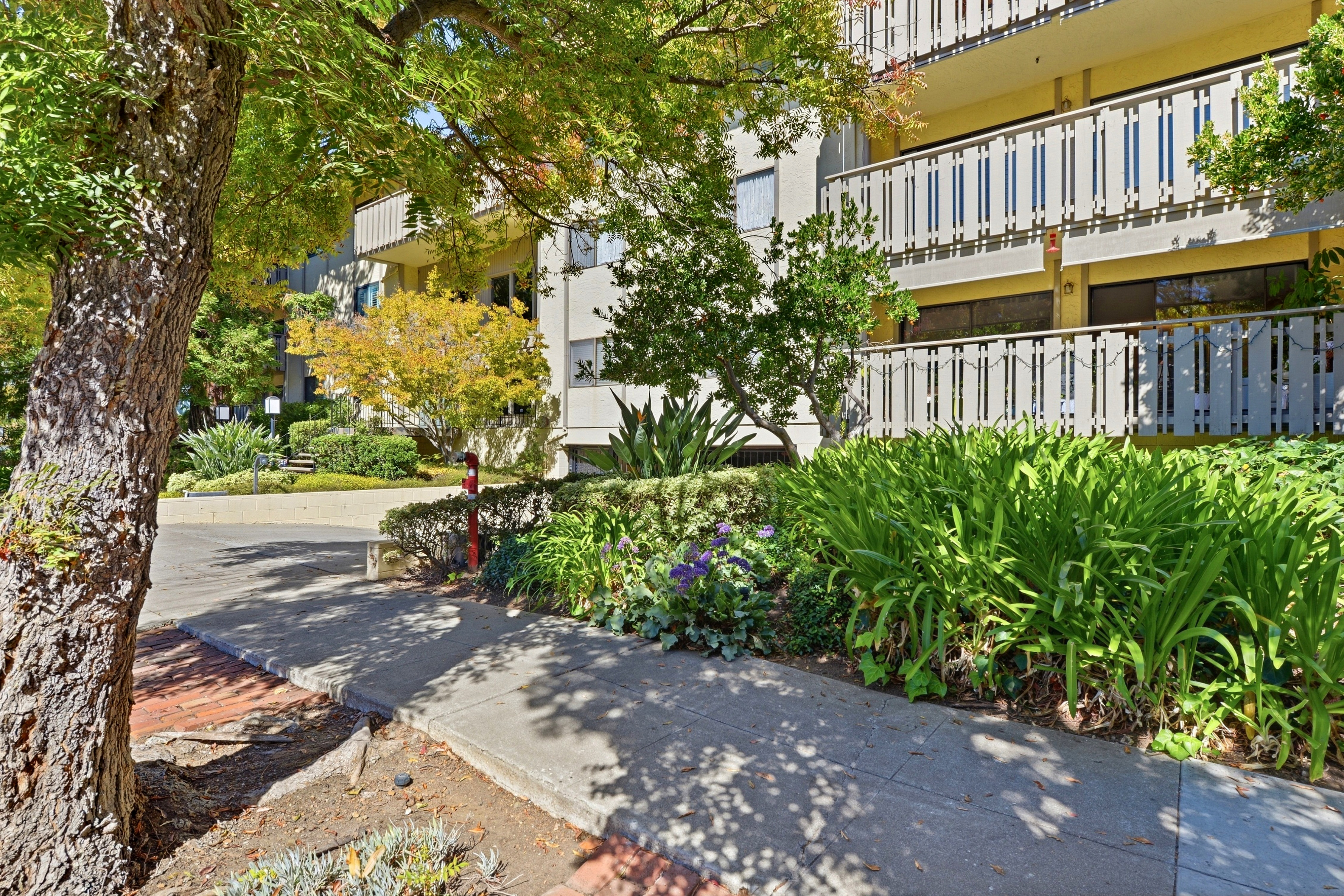  Remodeled Condo in the Heart of Downtown Los Altos - 物件實景